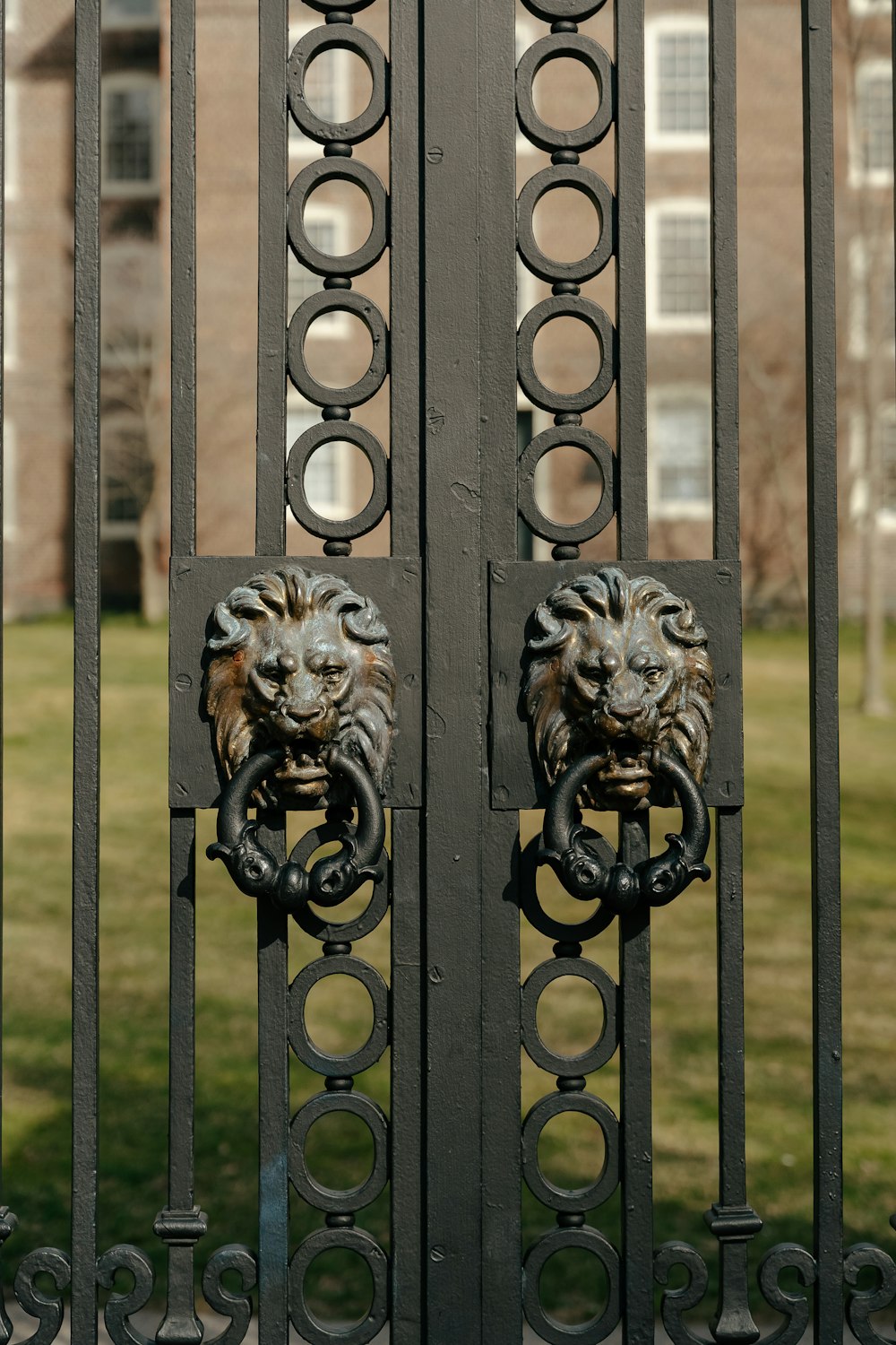 a gate with two lion heads on it
