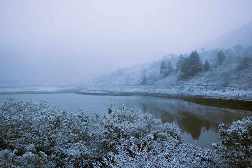 a body of water surrounded by snow covered trees