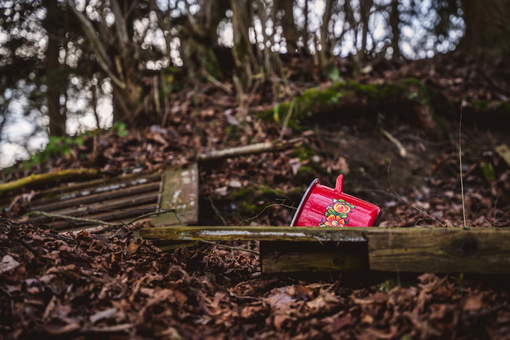 a small red box sitting on top of a pile of leaves