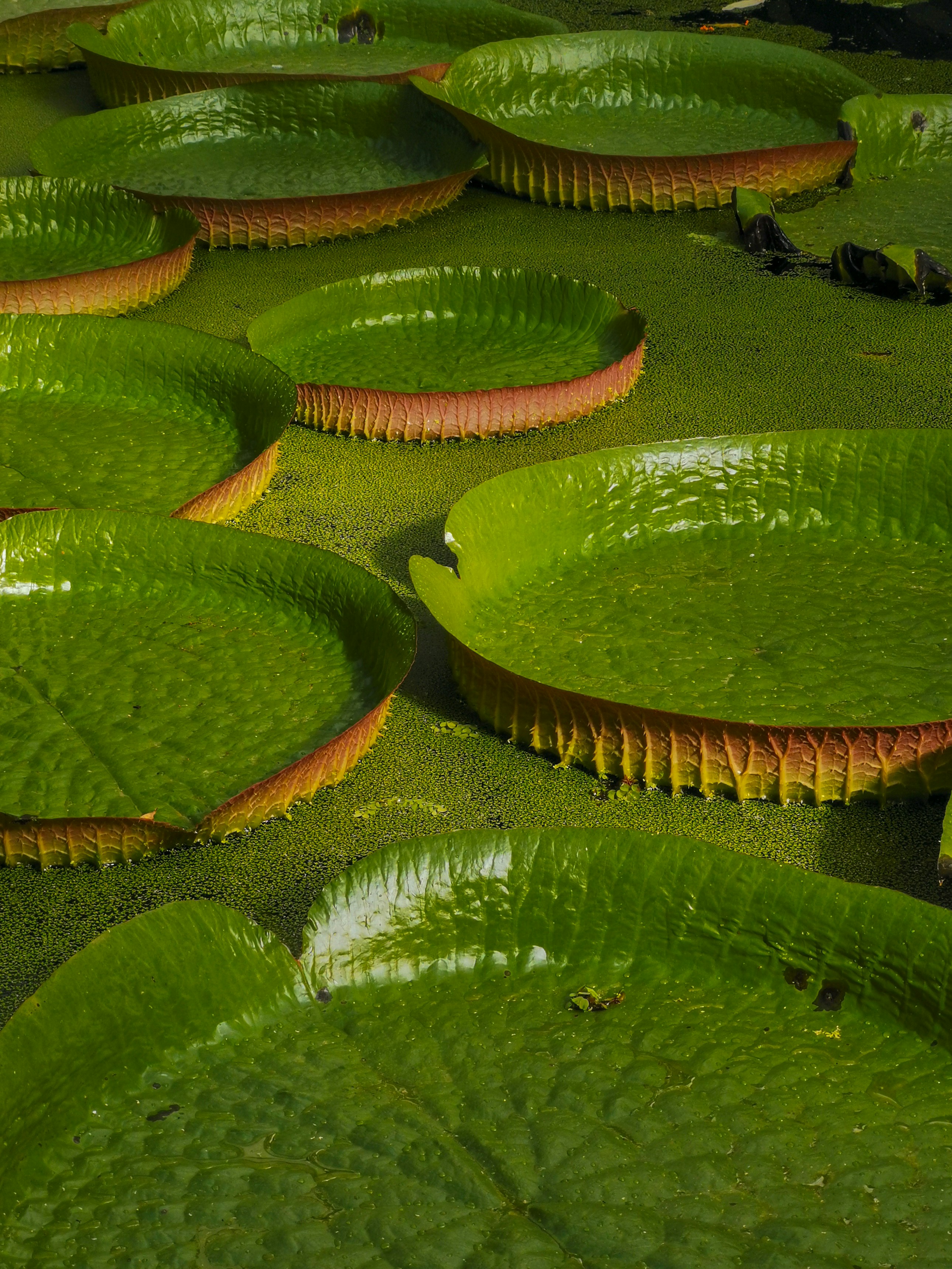 Why Hospital Design Makes Patients Sicker