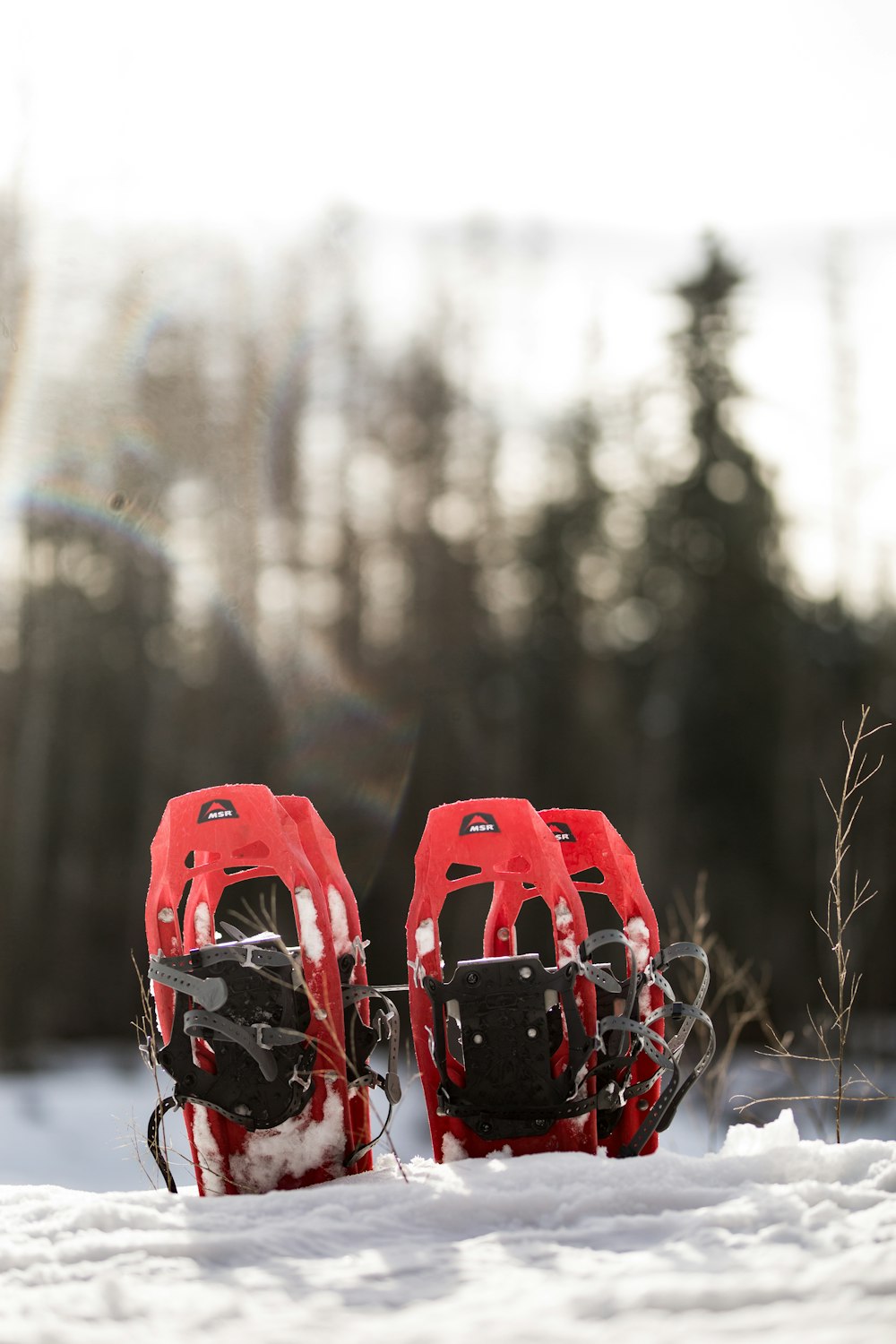 a pair of red skis sitting in the snow