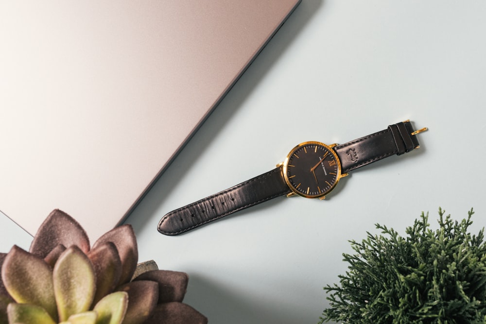 a watch sitting on top of a table next to a plant