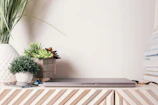 Minimalist workspace featuring law books stacked neatly, a plant, and a tablet