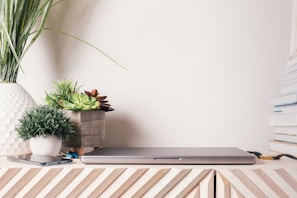 Organized workspace with minimalistic desk accessories, a sleek laptop, and a potted plant adding a touch of green.