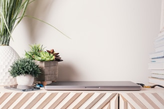 Minimalist workspace with plants and office supplies