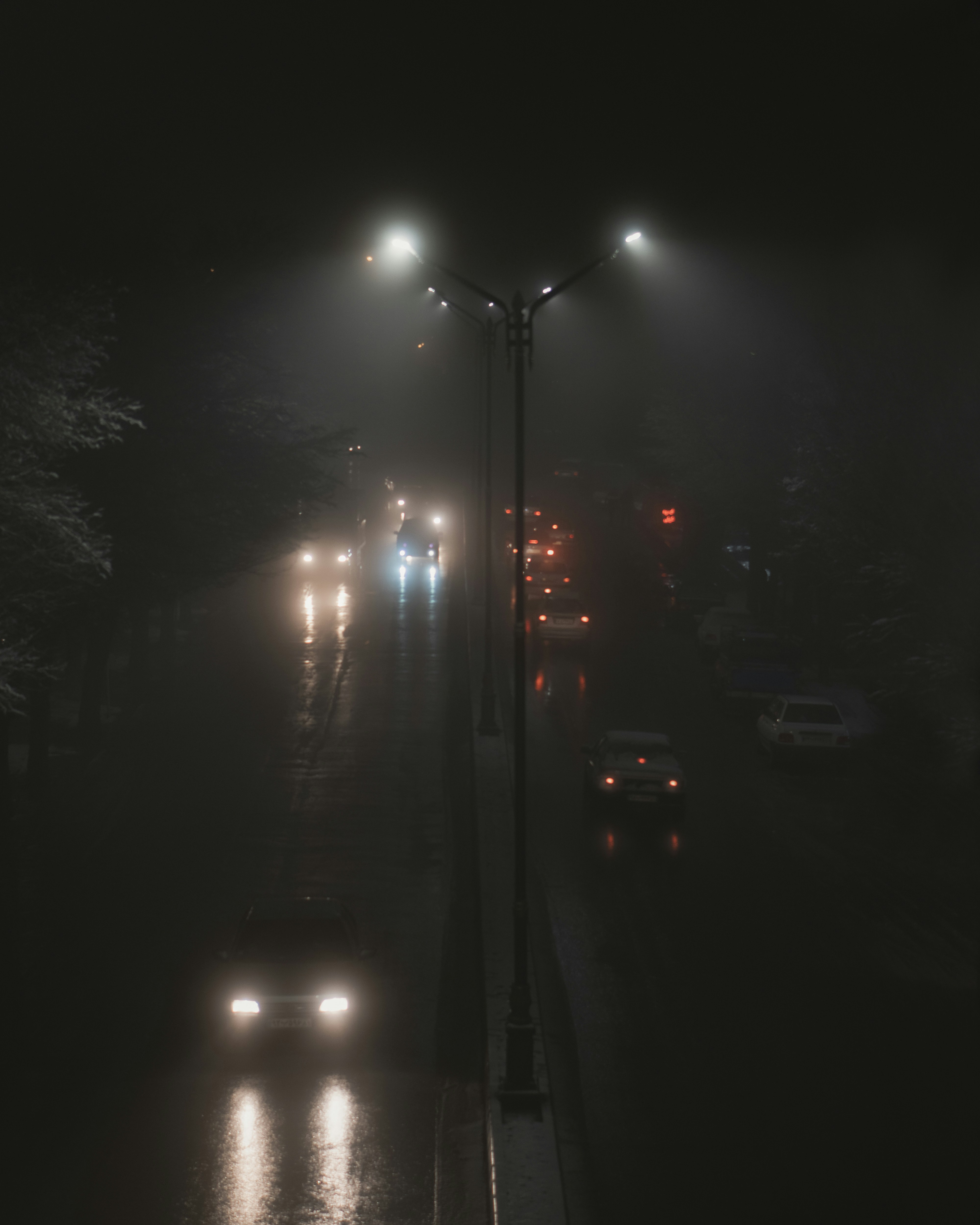 Photo by alikarimibn