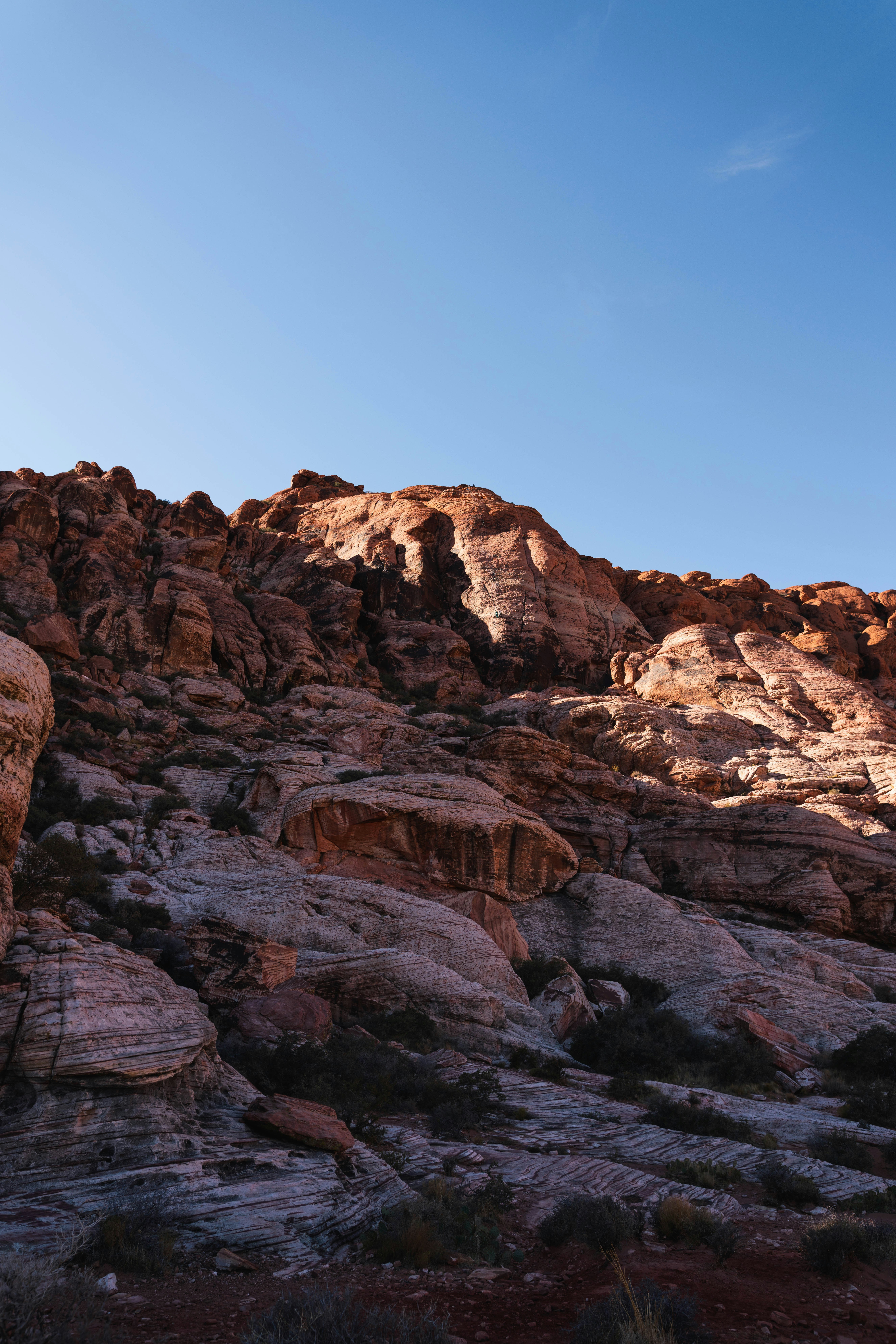 Photo by spencermarsh