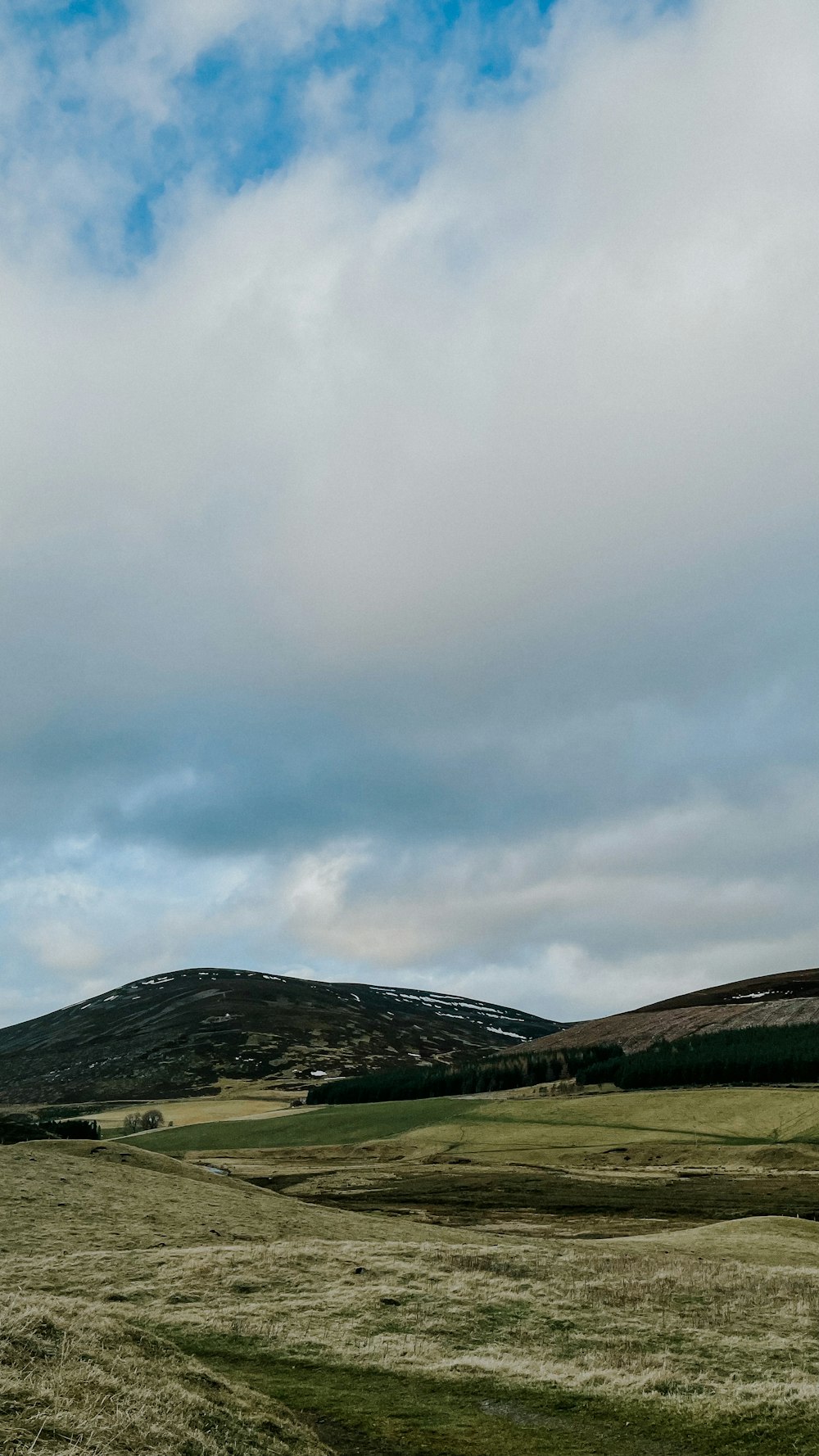 a large open field with a mountain in the background