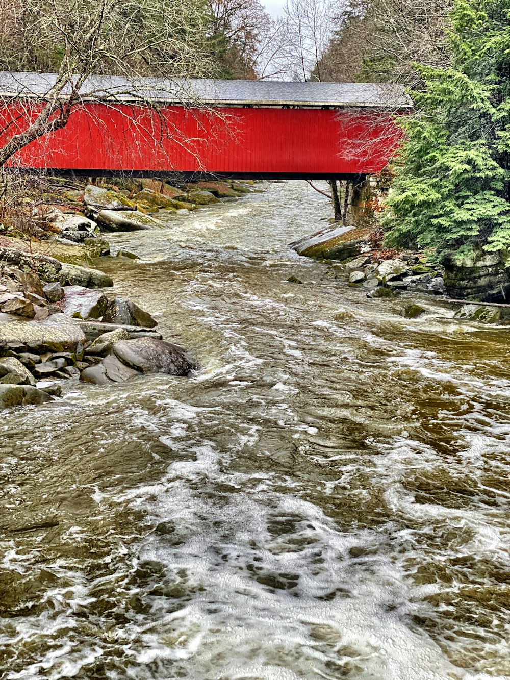 a red covered bridge over a river next to a forest