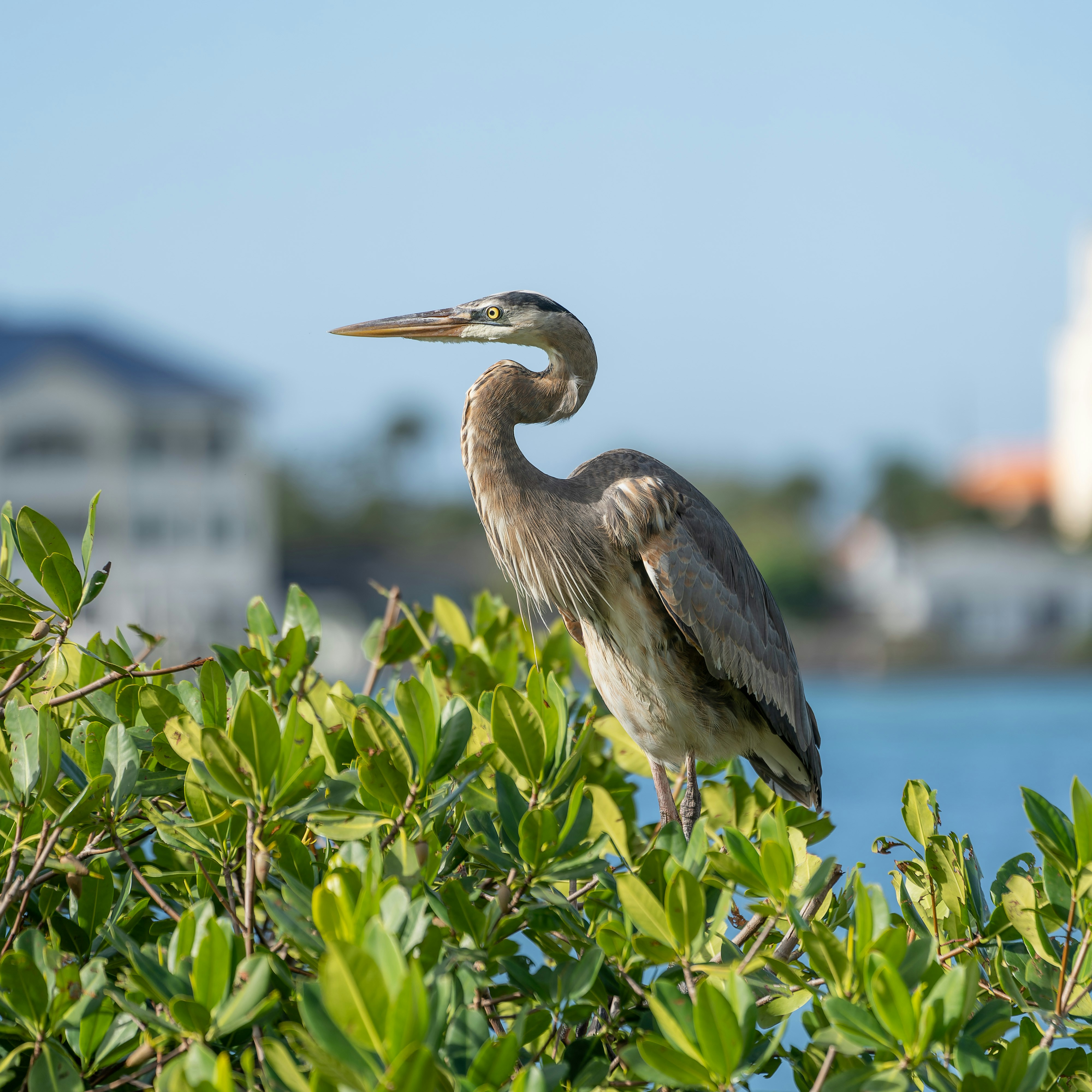 Photo by karographix