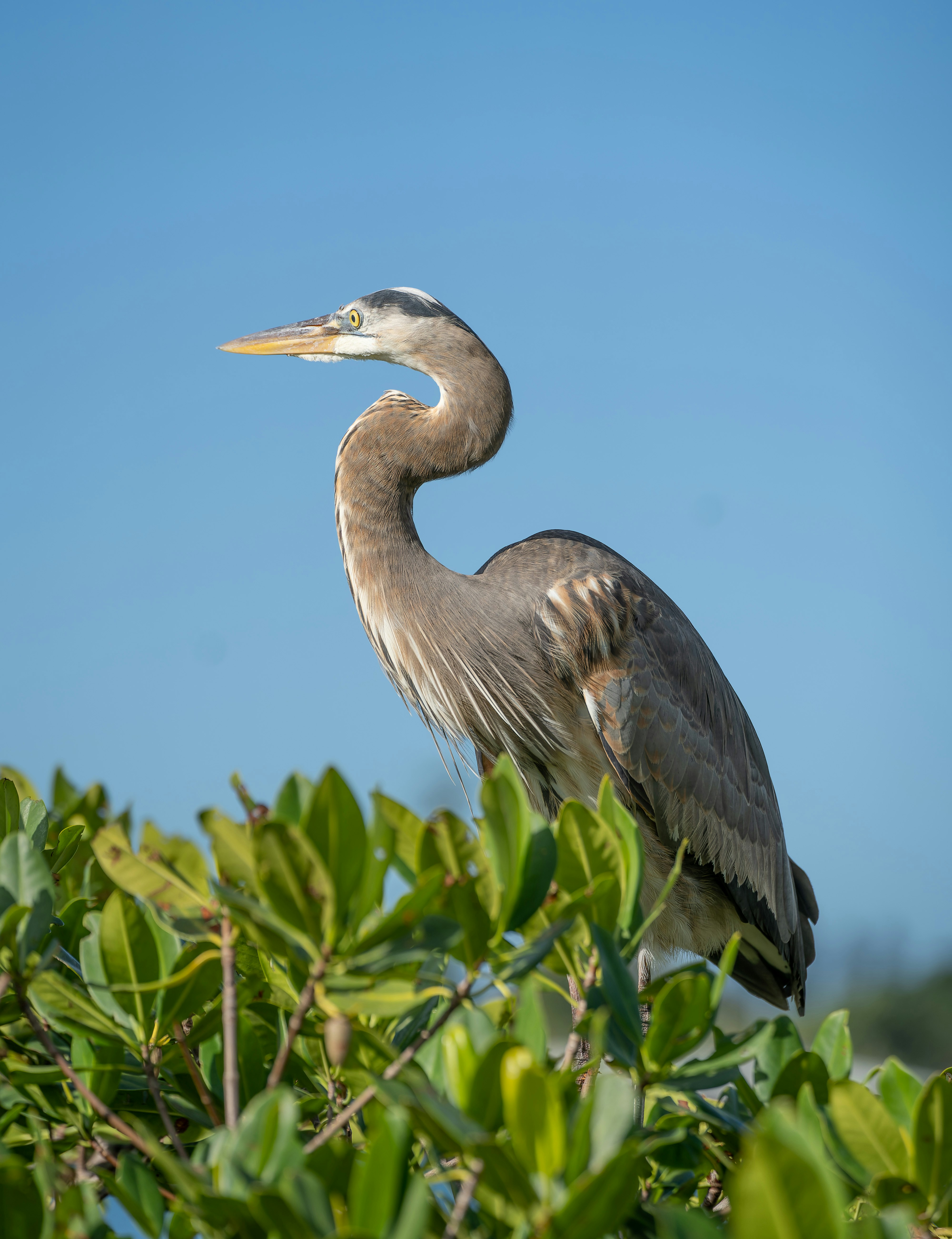 Photo by karographix