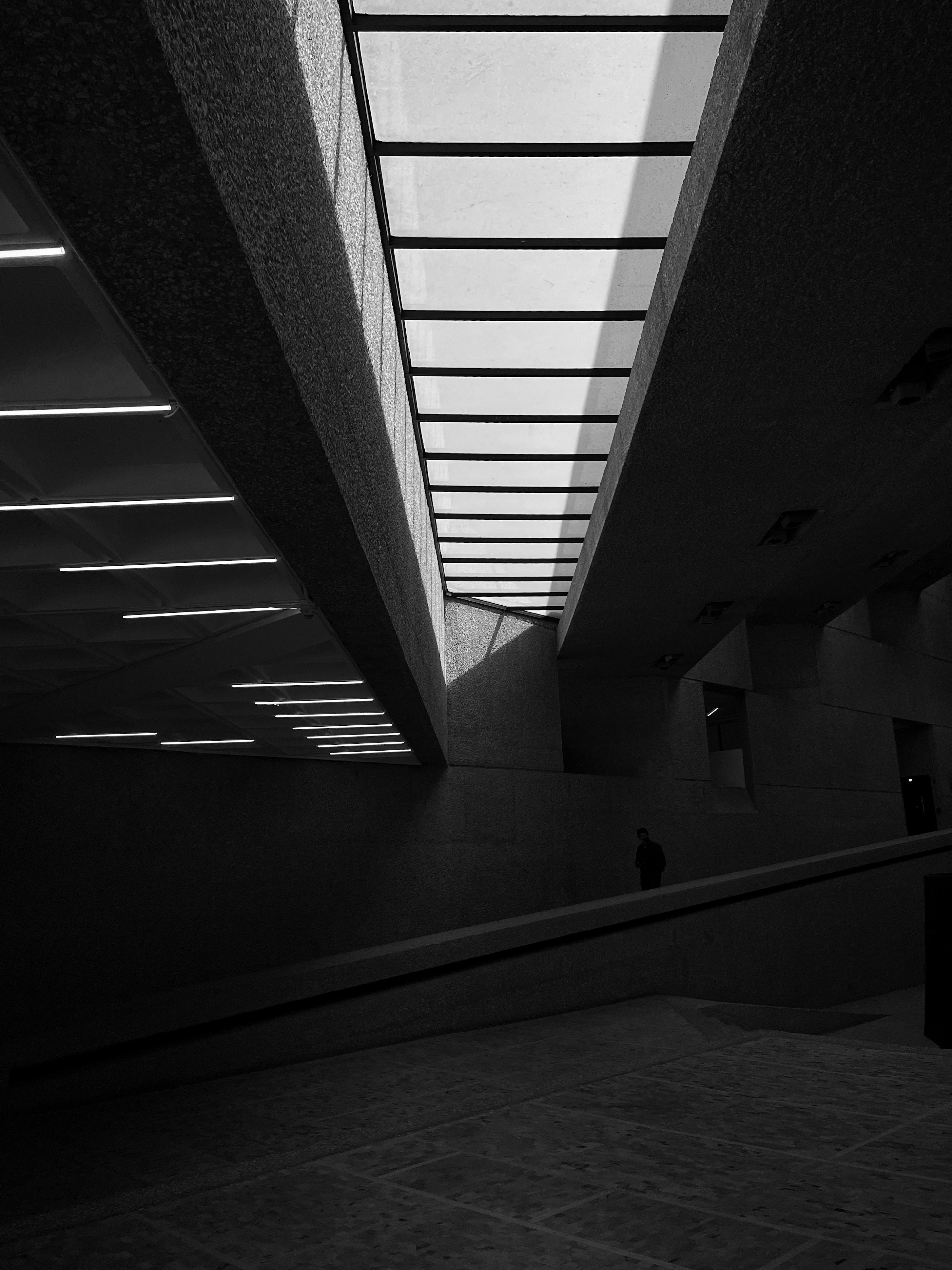 Photo by fabrizziomoncada