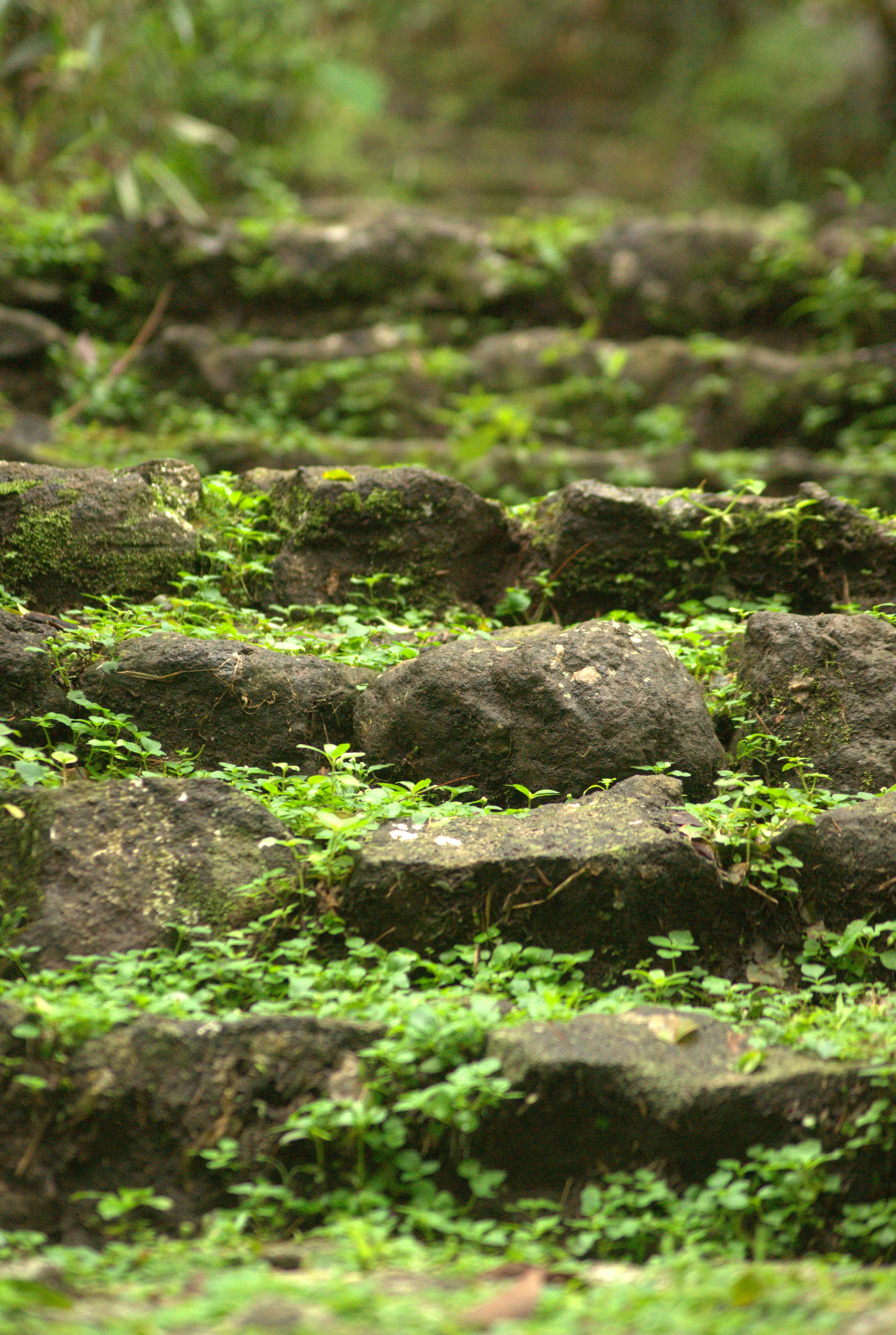 Photo by abrahamnoah