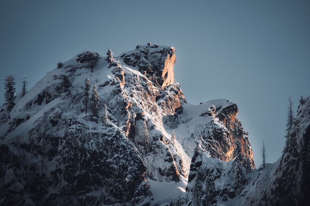 a large mountain covered in snow and trees