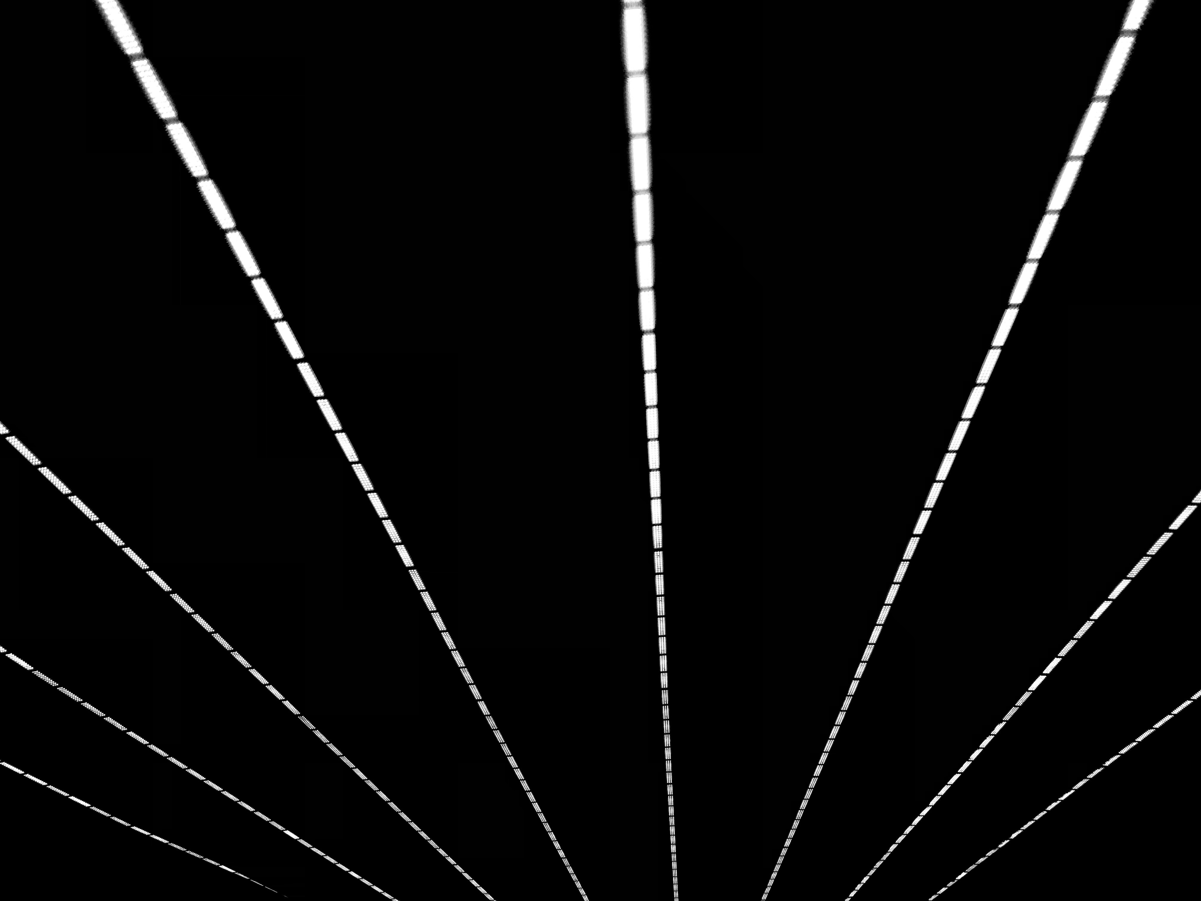 Photo by steven_______