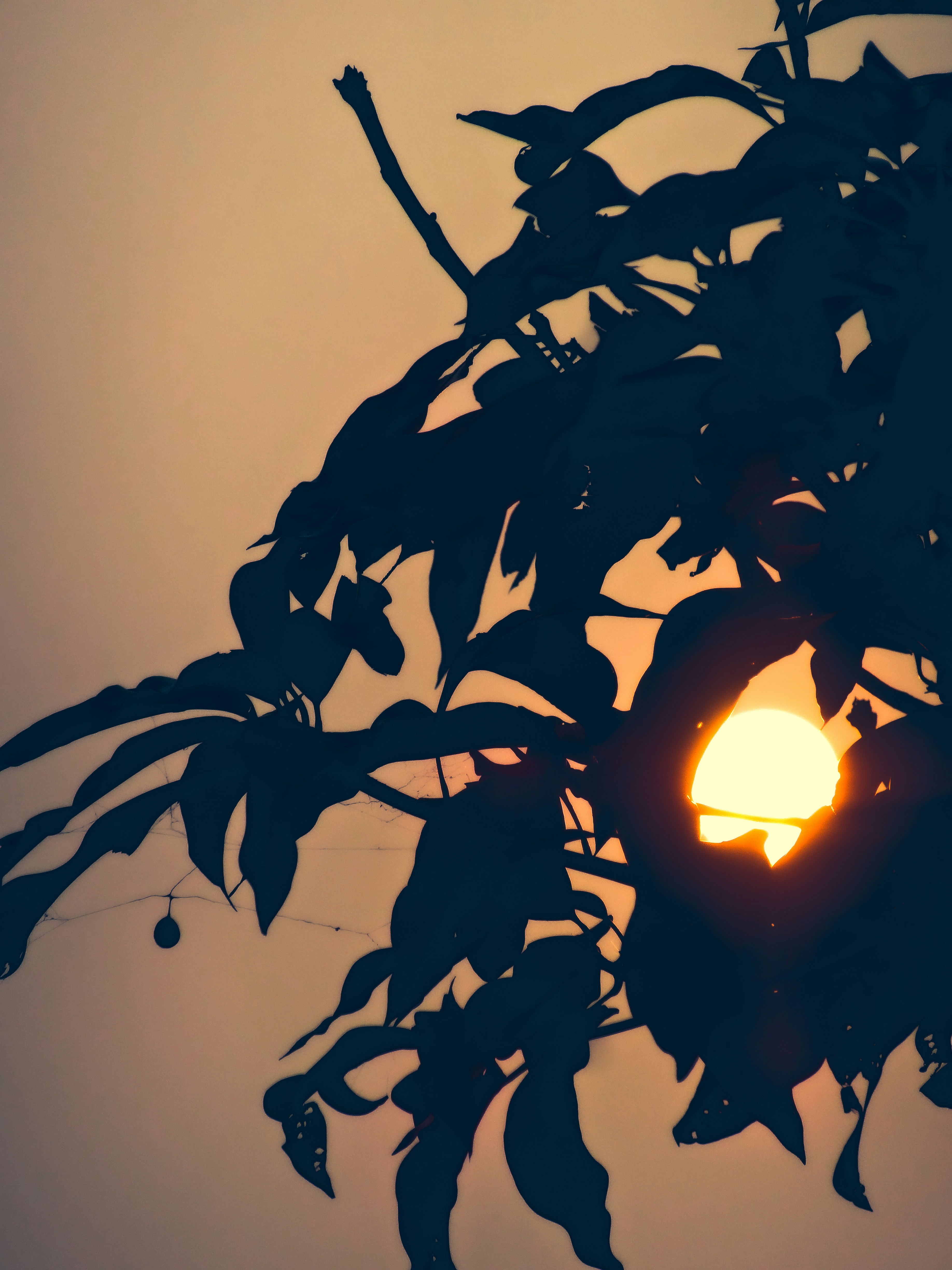 Photo by aayush_khokhar