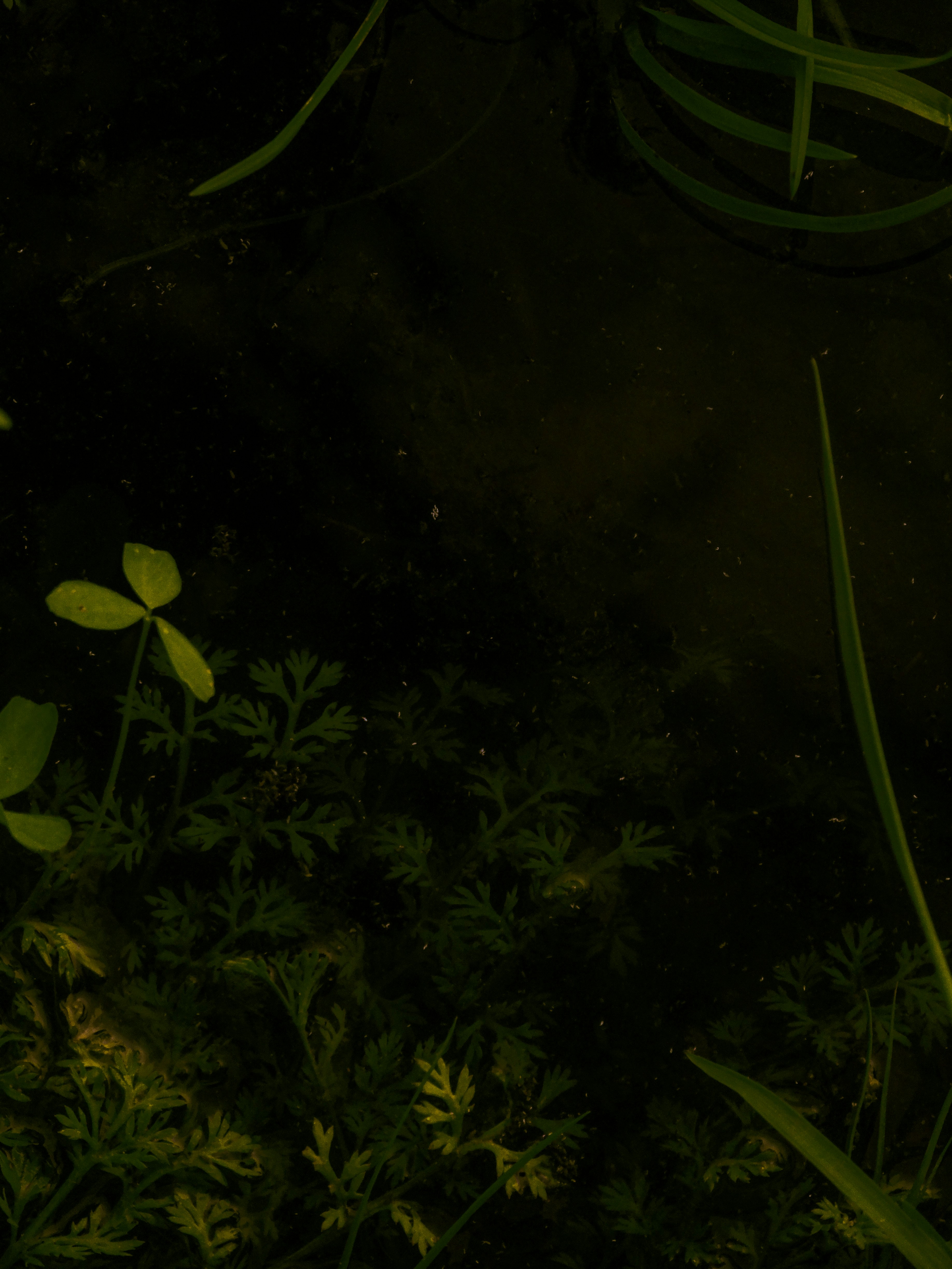 Photo by aayush_khokhar