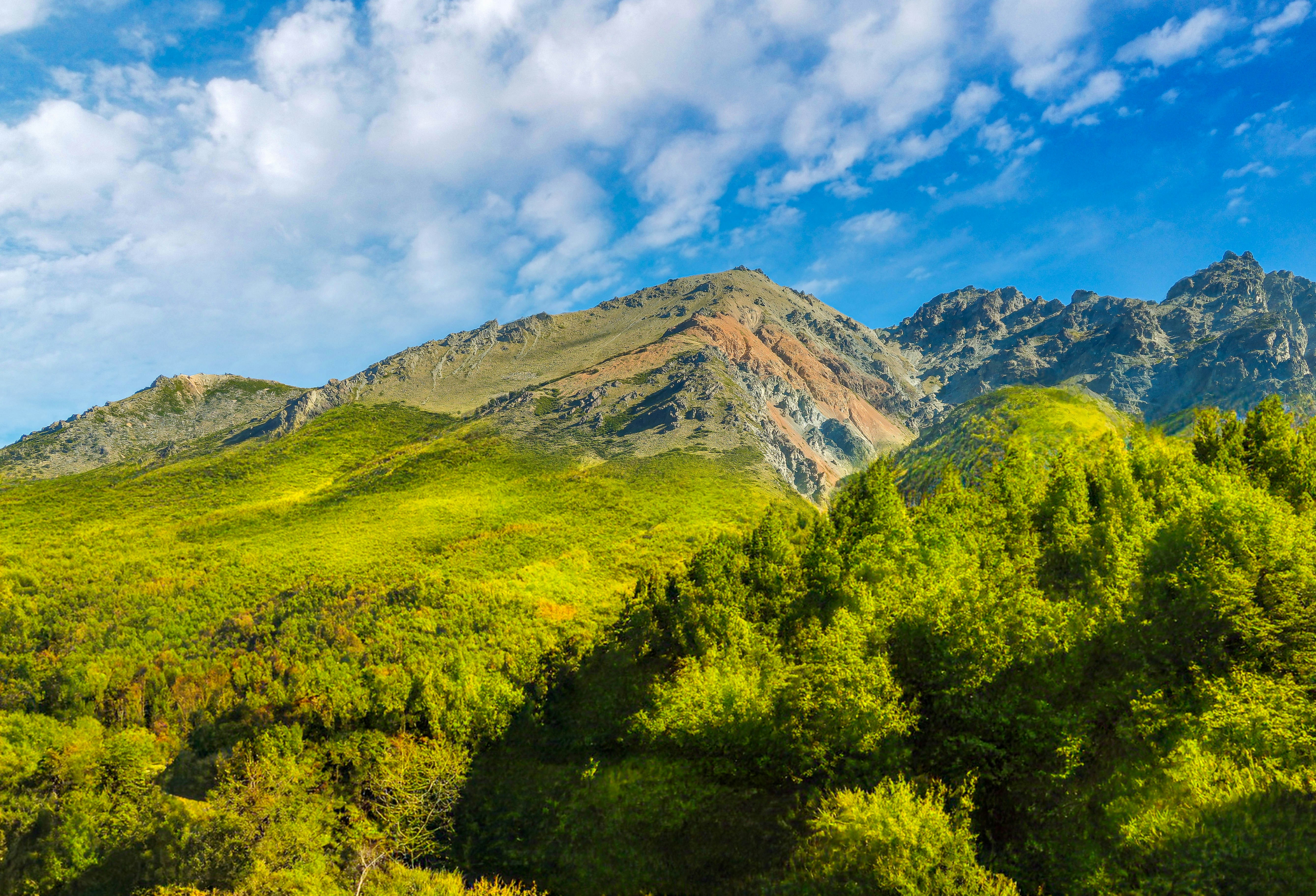 Photo by argentinanatural