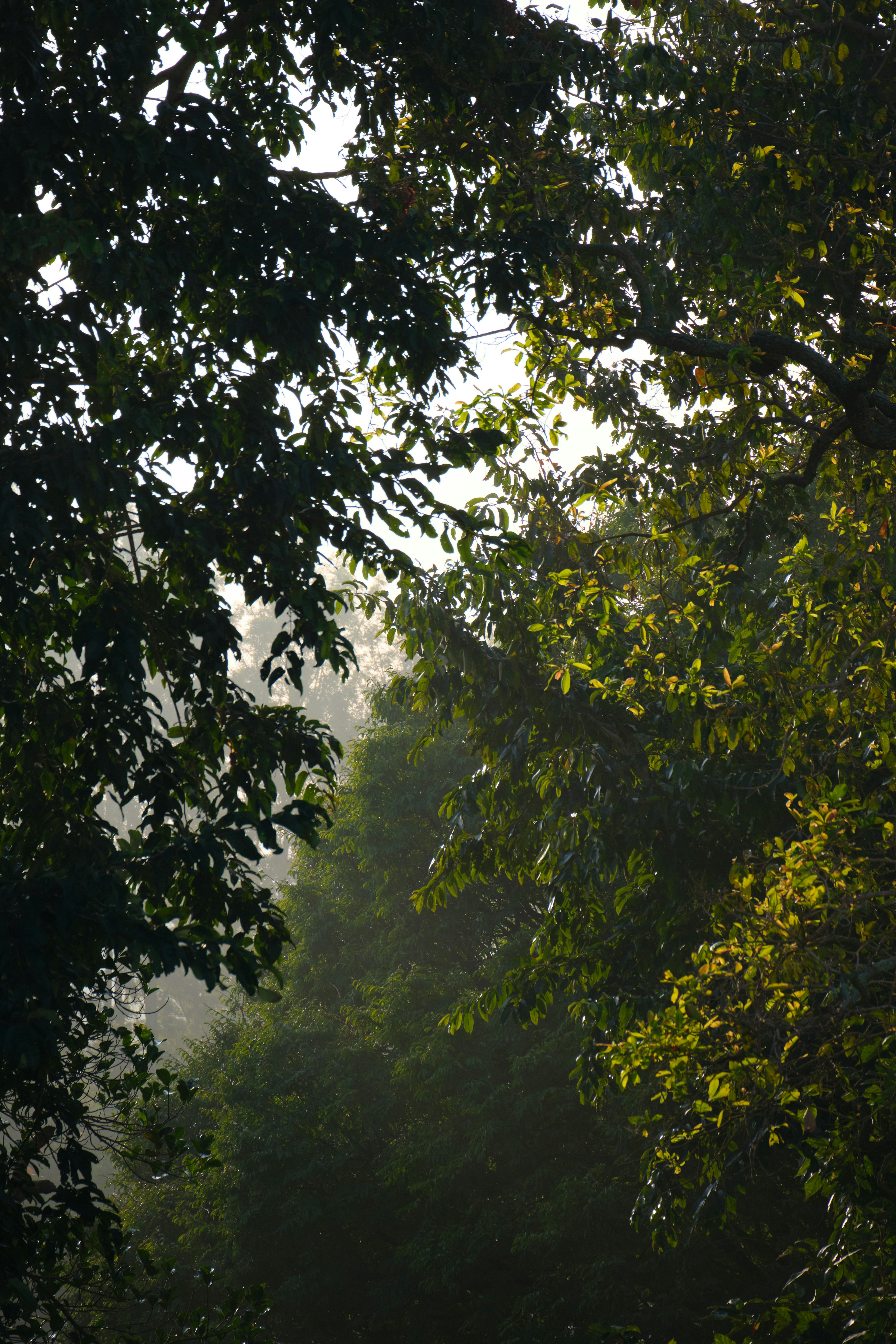 Photo by rsmanoj