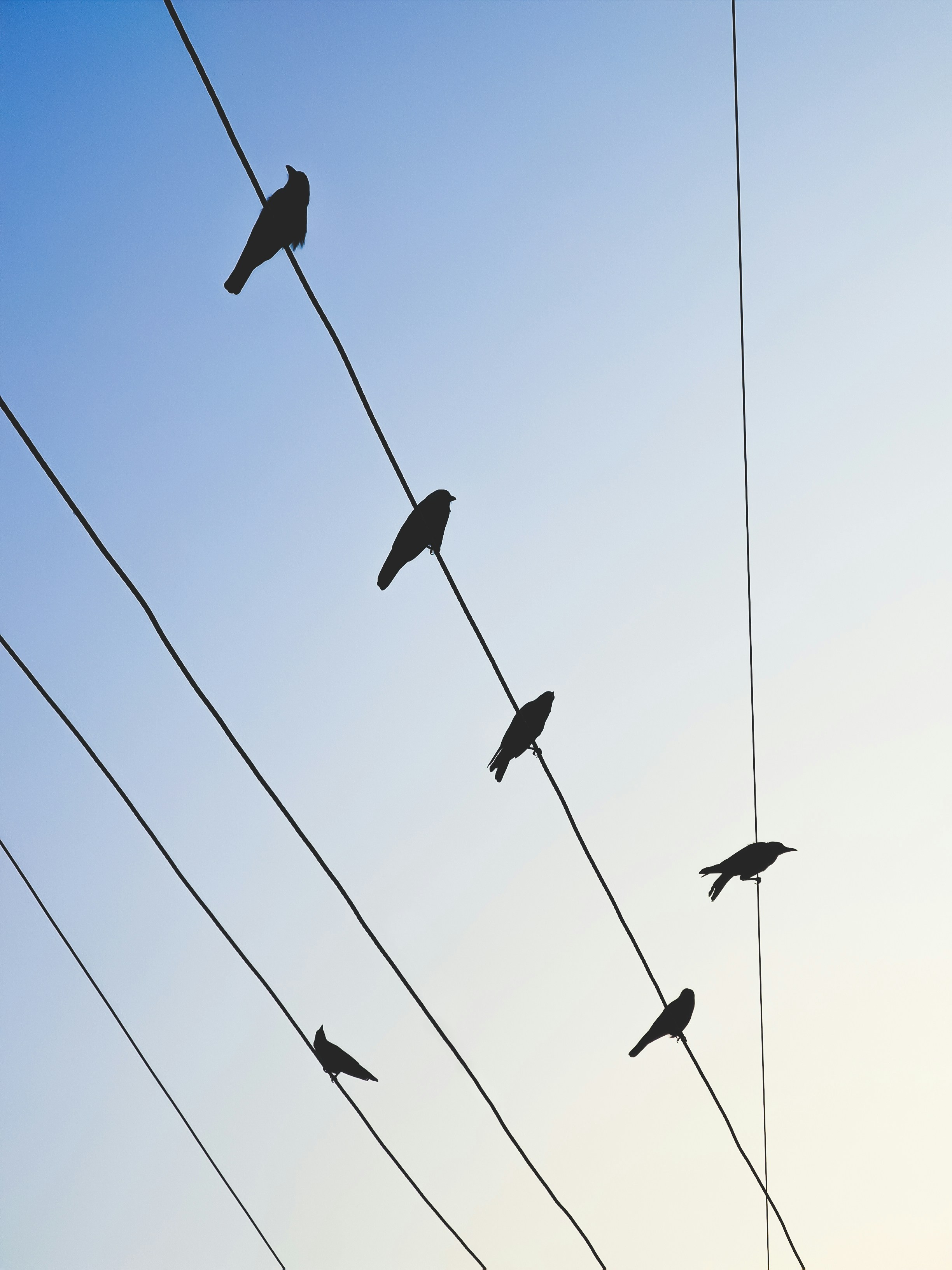 Photo by rahulka5hyap