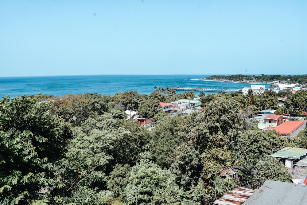 a view of a body of water from a hill