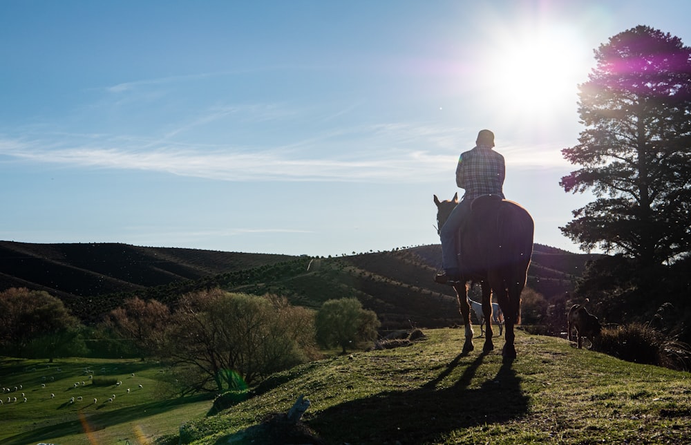 a man riding a horse on top of a lush green hillside