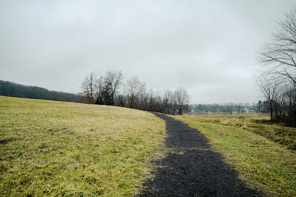 a path in the middle of a grassy field