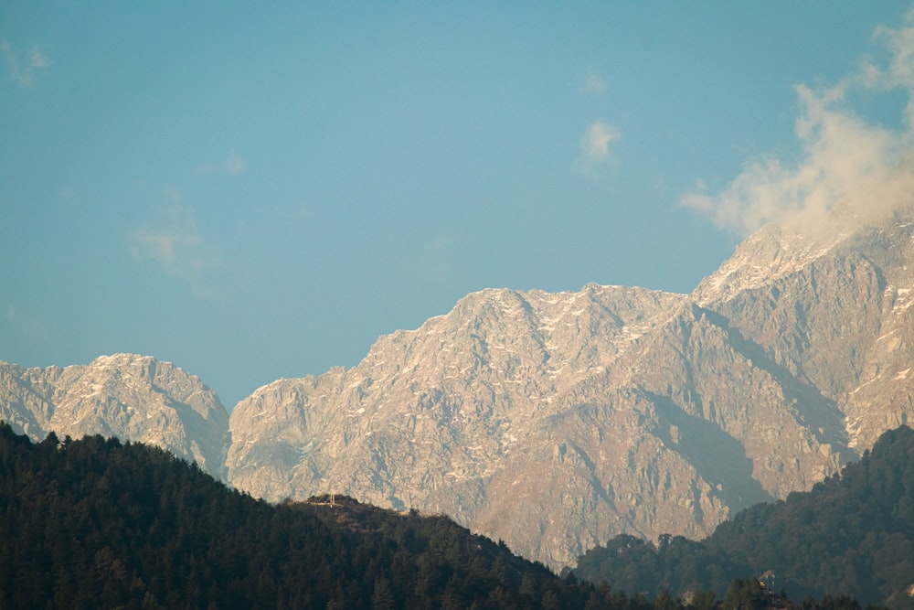 a view of a mountain range with trees in the foreground