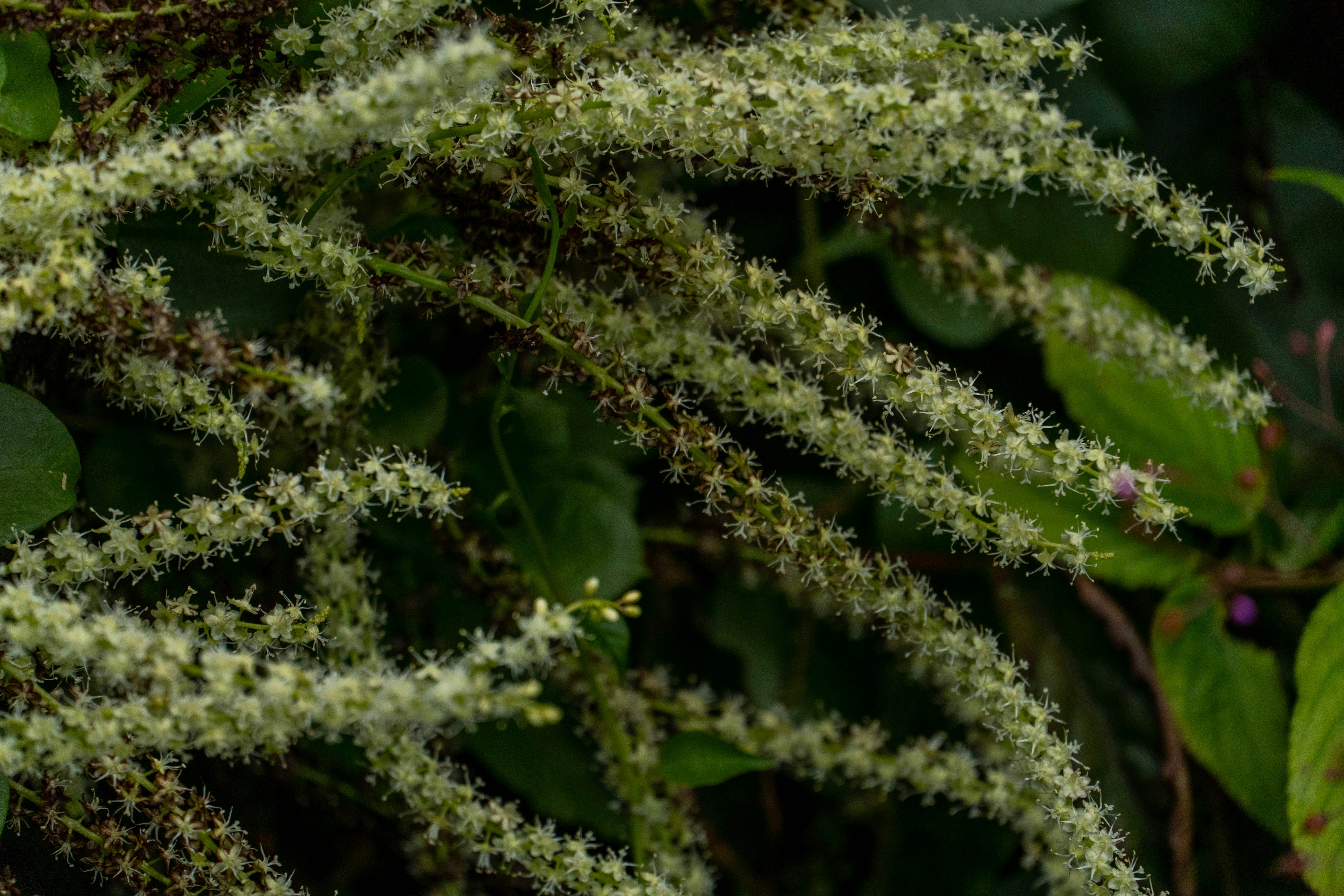 Photo by lostillusion