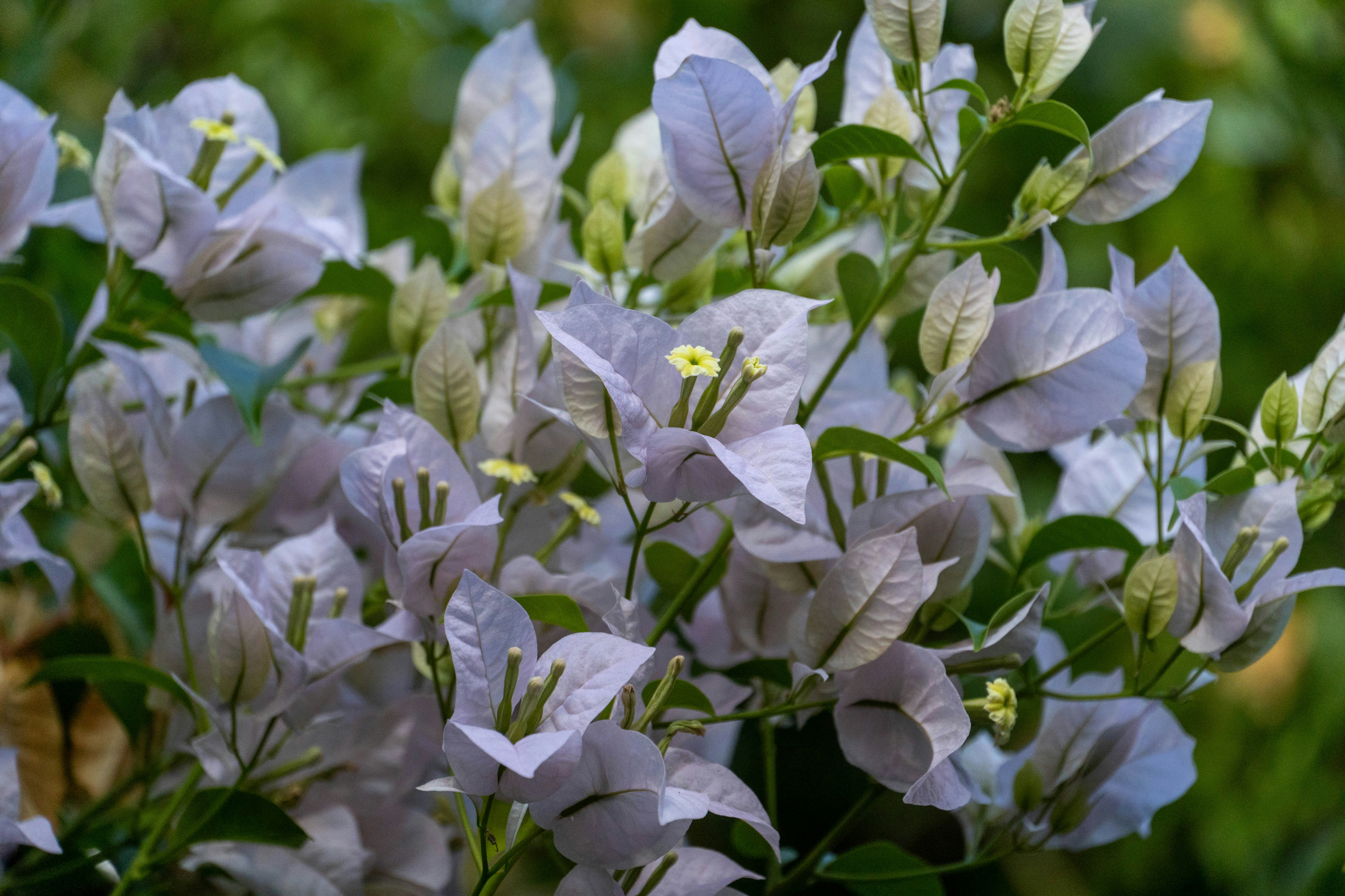 Photo by lostillusion