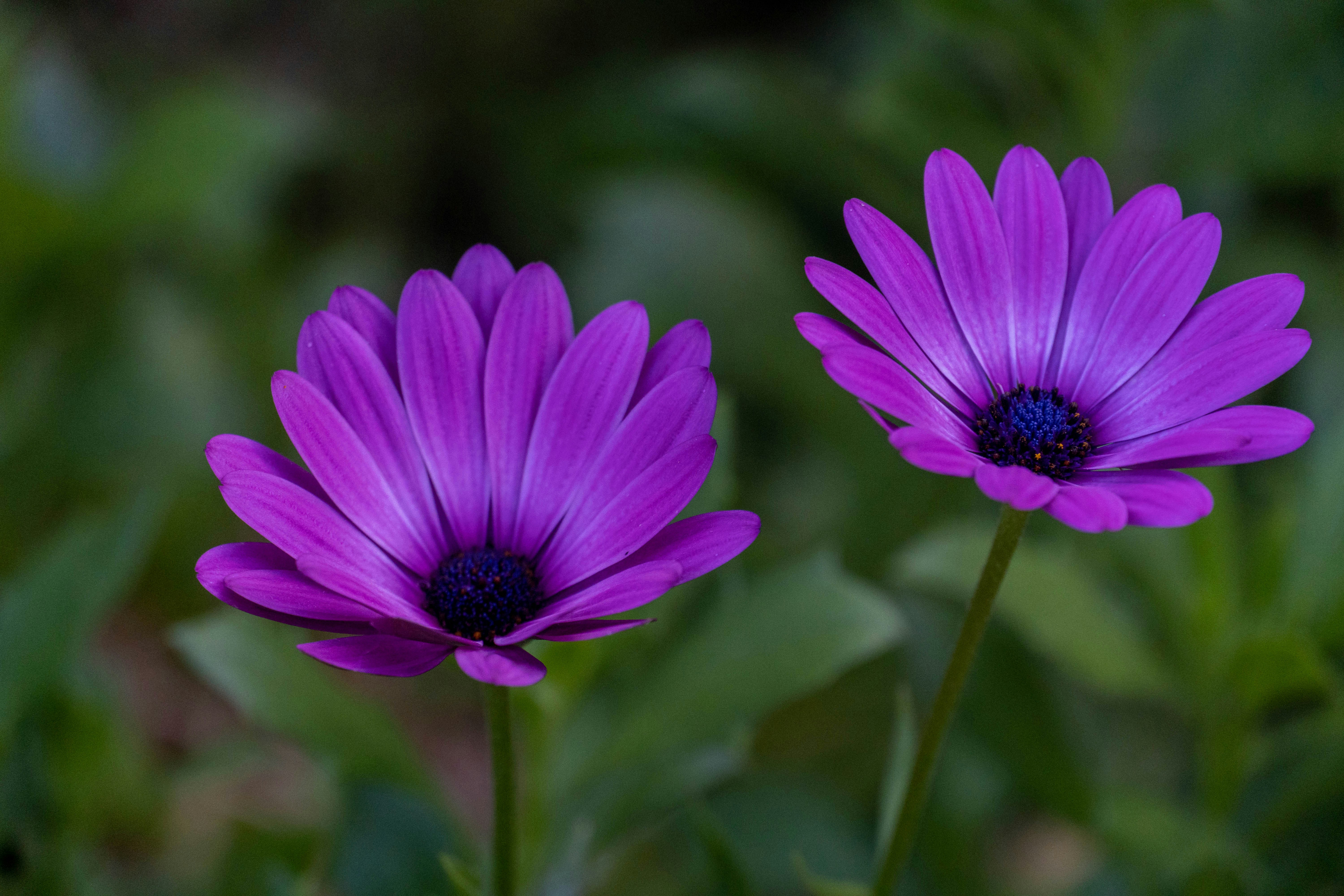 Photo by lostillusion