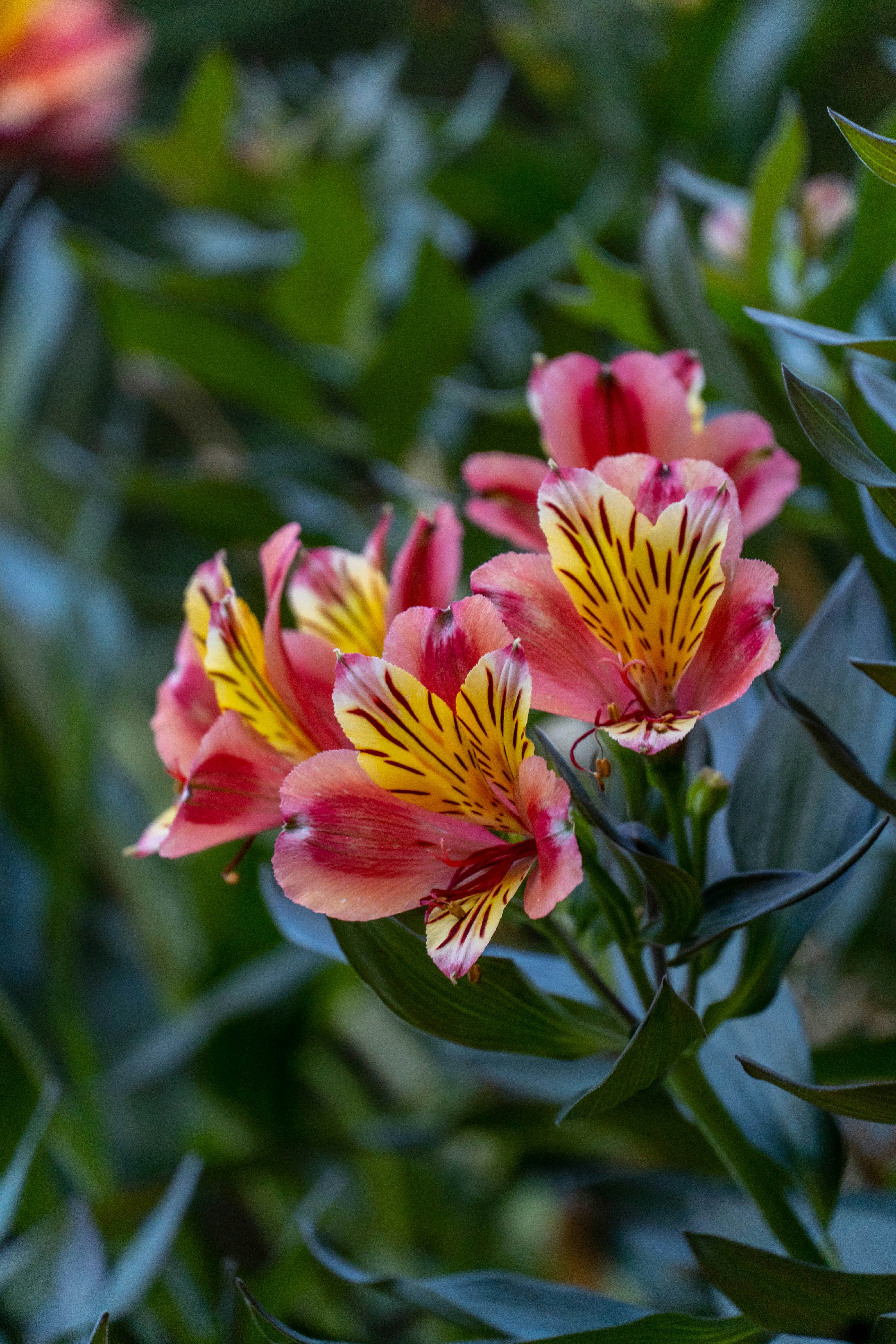 Photo by lostillusion