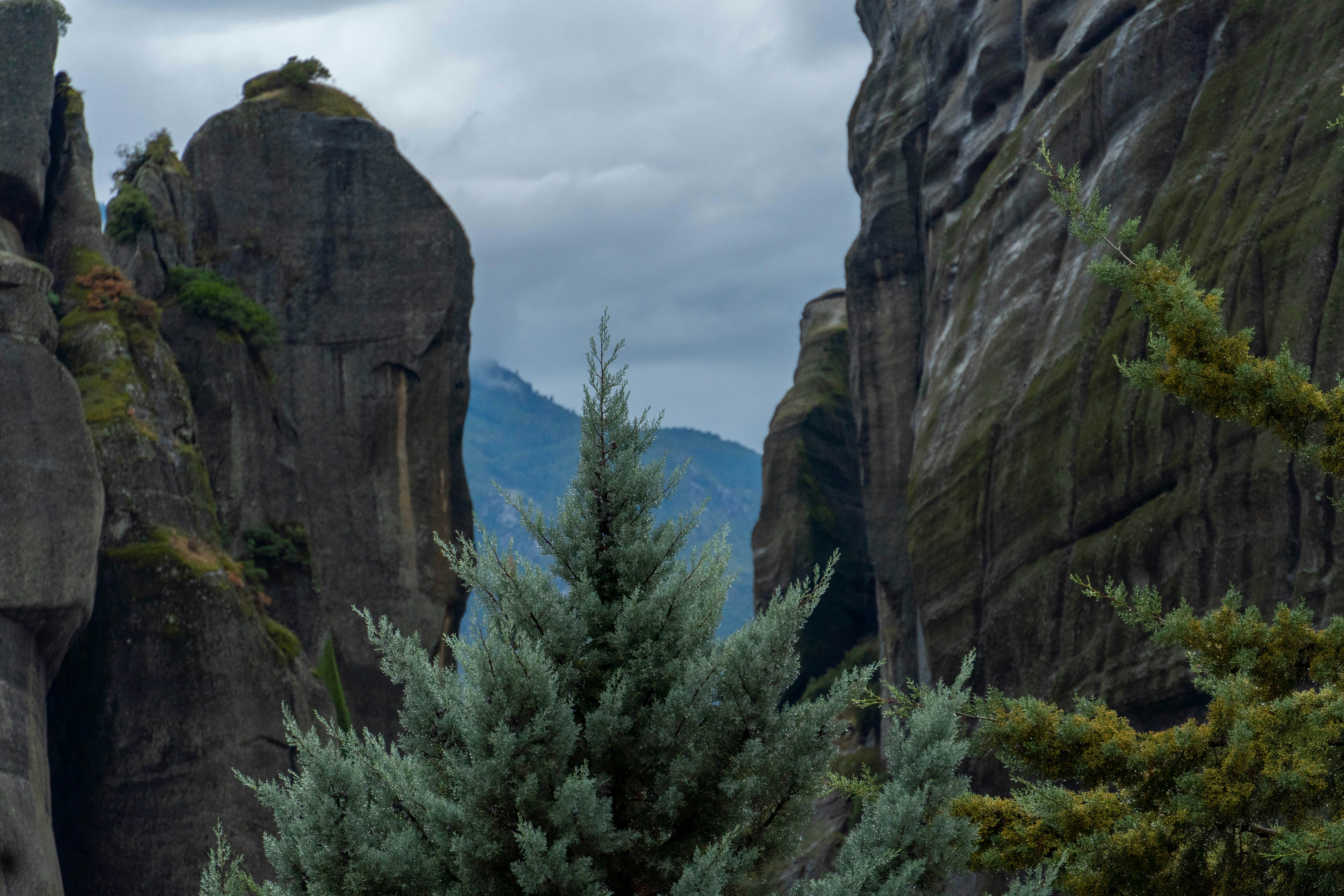 Photo by lostillusion