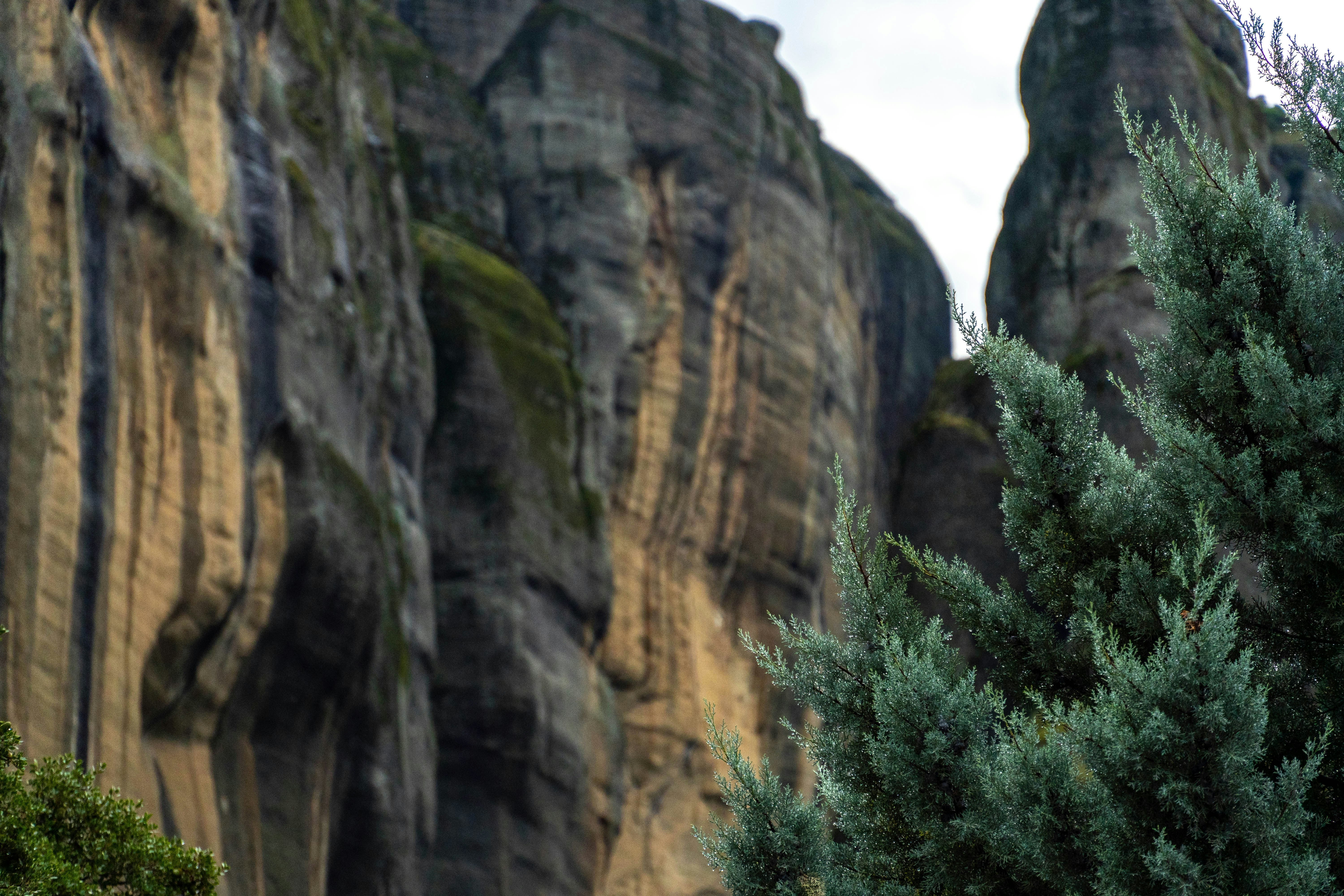 Photo by lostillusion