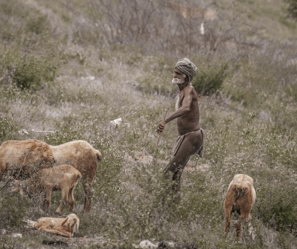 um homem de pé em um campo com alguns animais
