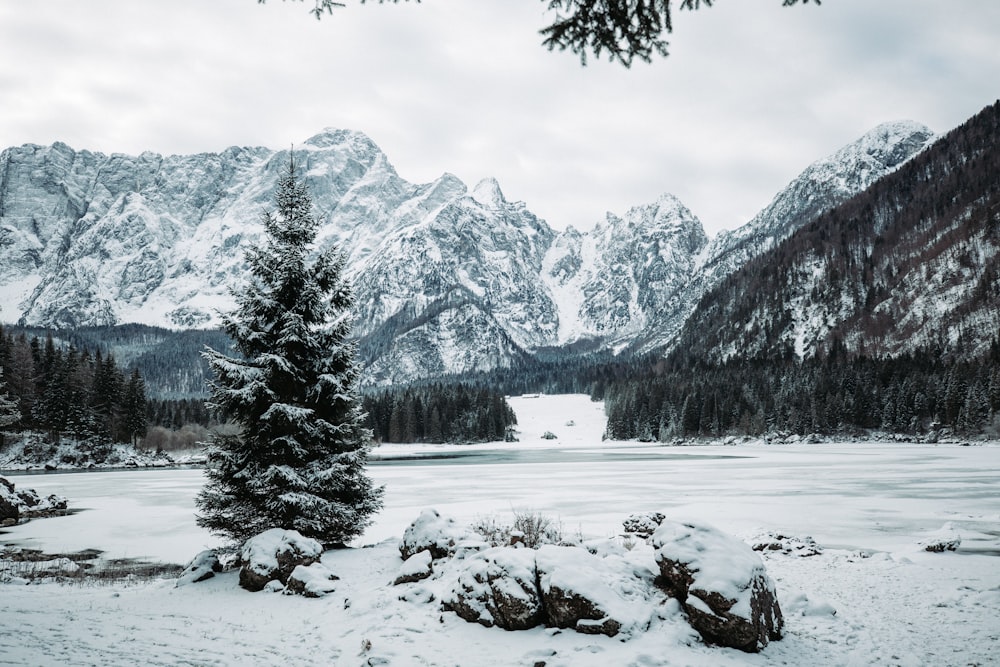 Un paisaje nevado con un lago y montañas al fondo