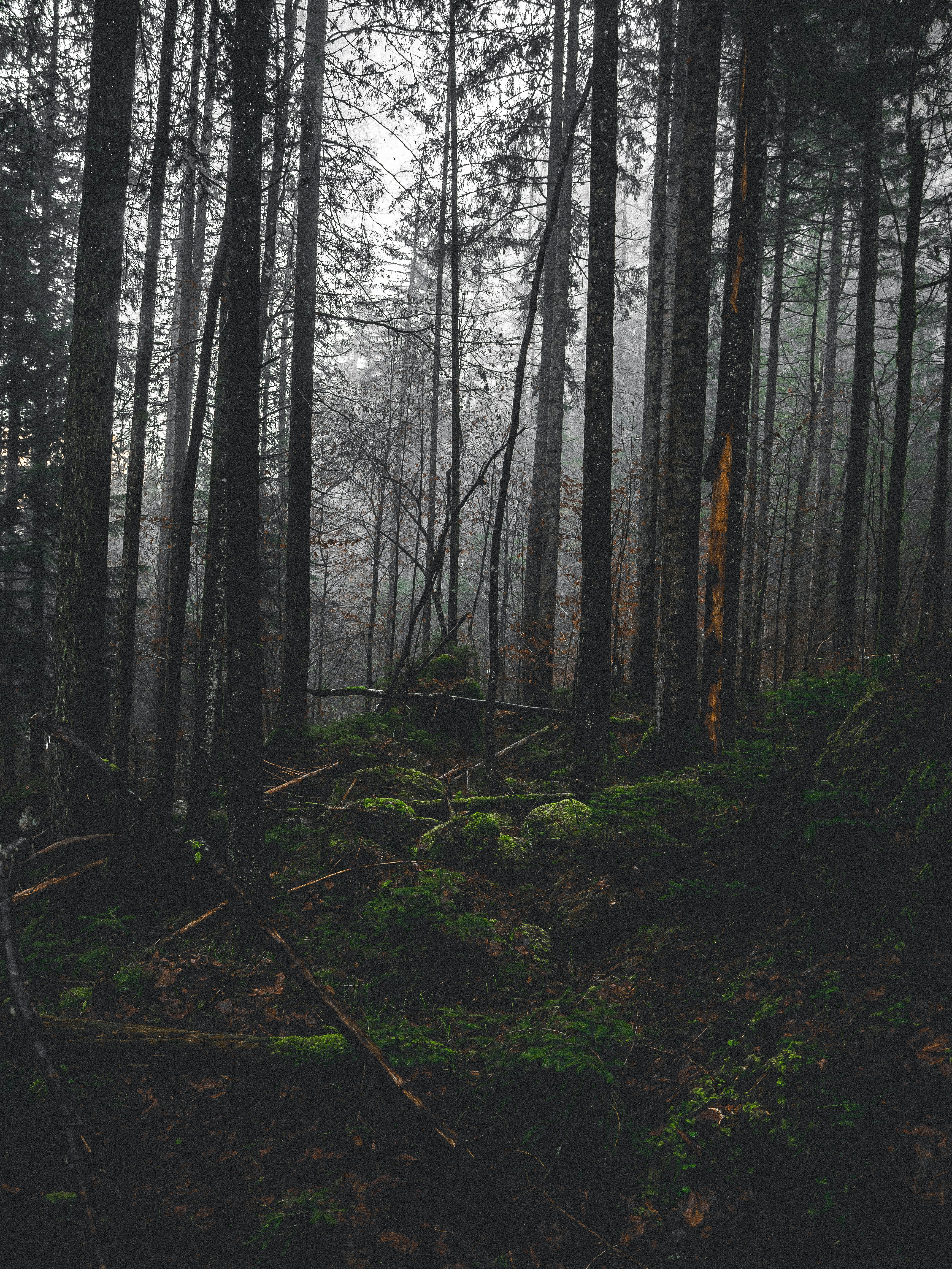 Photo by laurachouette