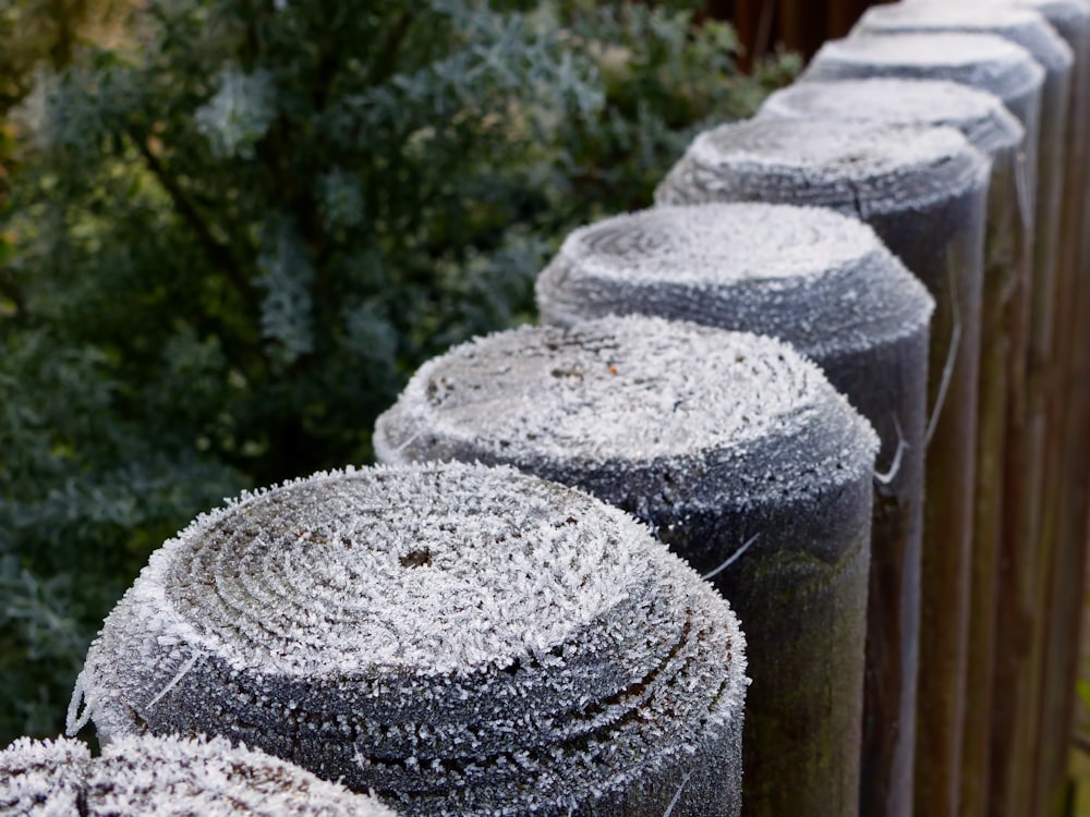a row of poles covered in frost next to a forest