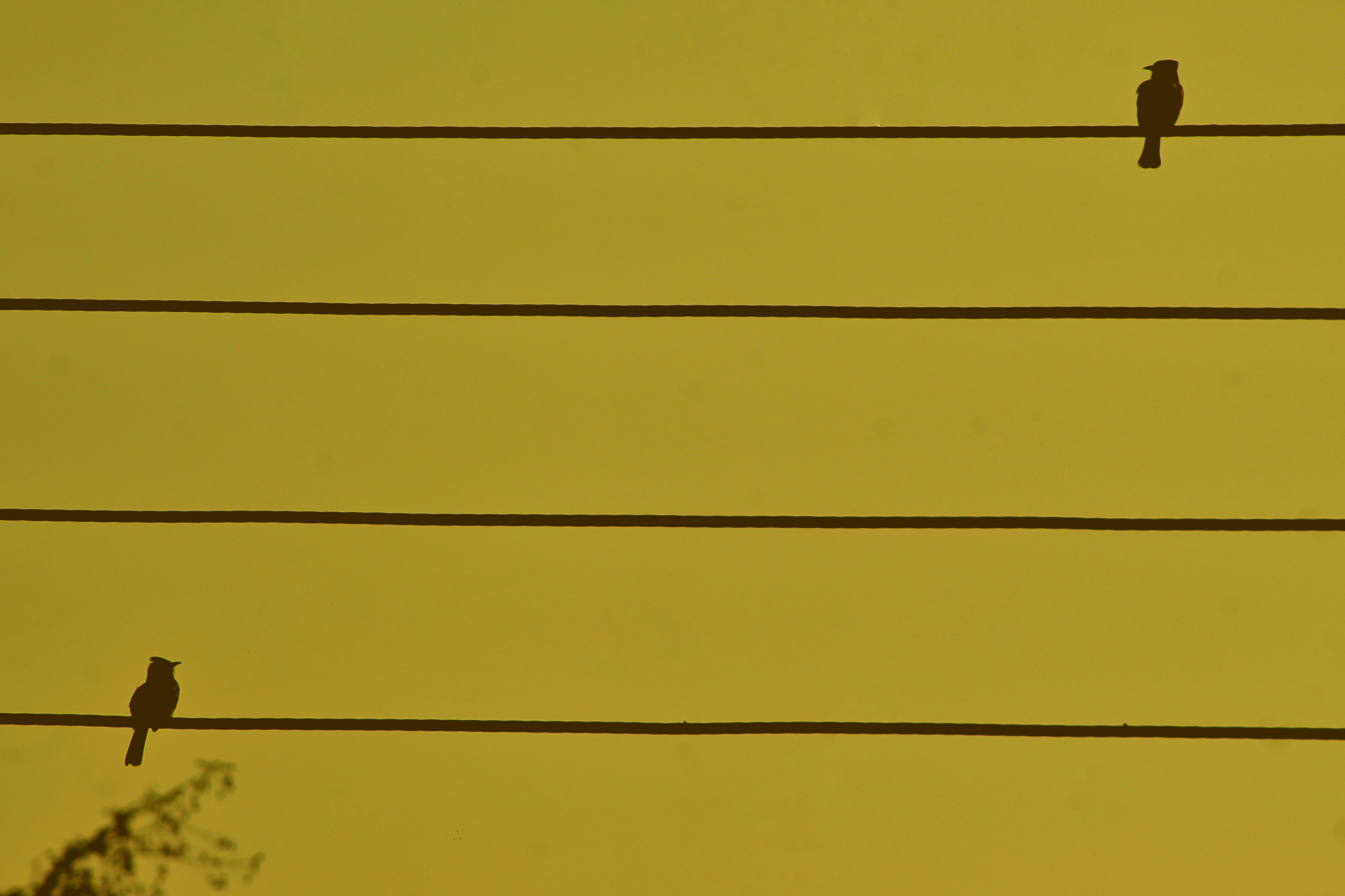 Pemanfaatan Batang Semu Pisang Sebagai Pot Dengan Berbagai Komposisi Media Tanam Terhadap Produktivitas Tanaman Kangkung Darat (Ipomoea Reptans L.) Image