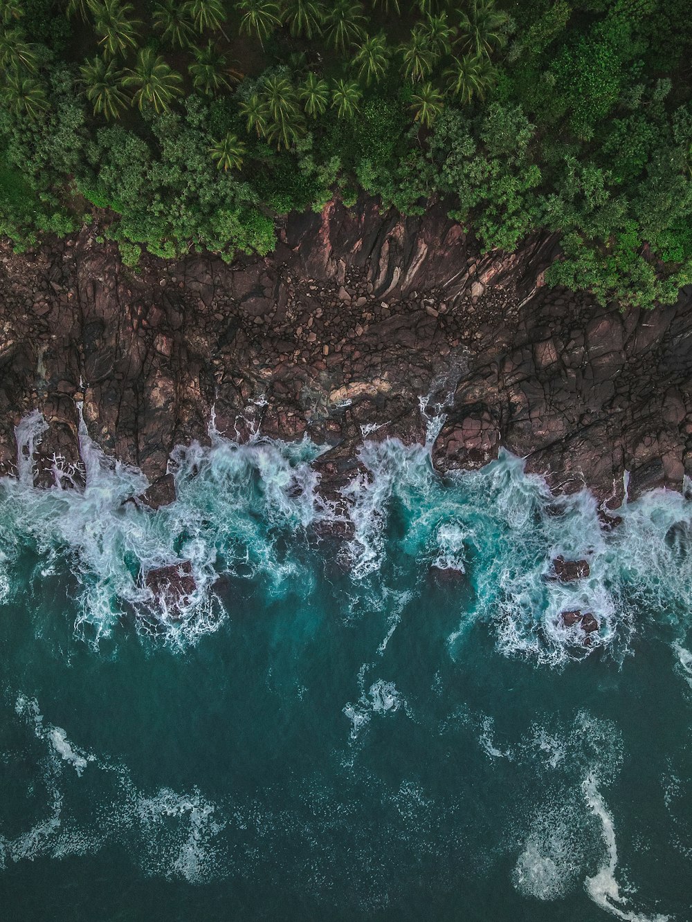 an aerial view of a body of water surrounded by trees