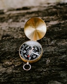 a gold compass sitting on top of a tree