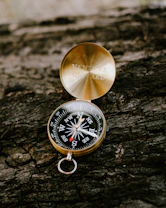 a gold compass sitting on top of a tree