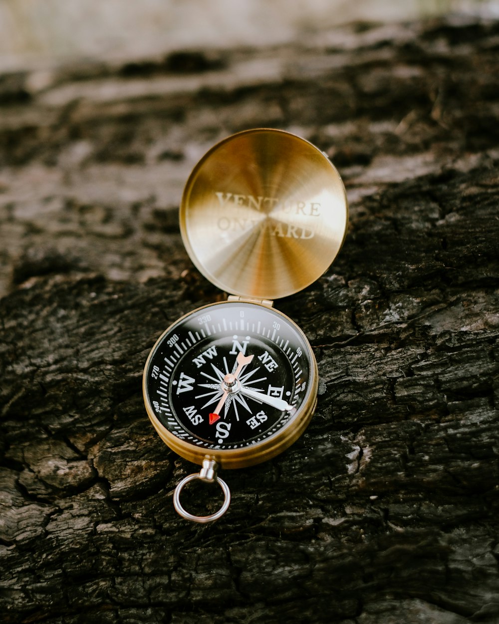 a gold compass sitting on top of a tree