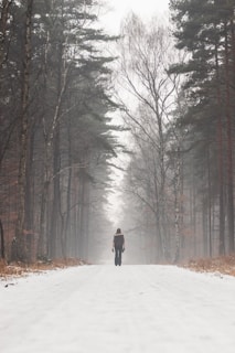 a person walking down a snow covered road