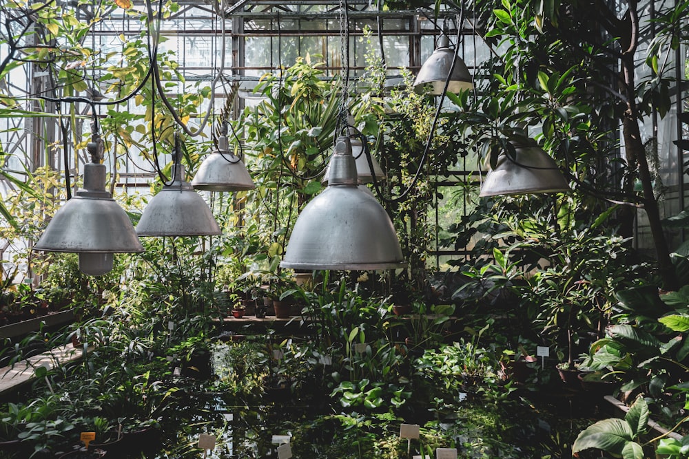 a room filled with lots of plants and hanging lights