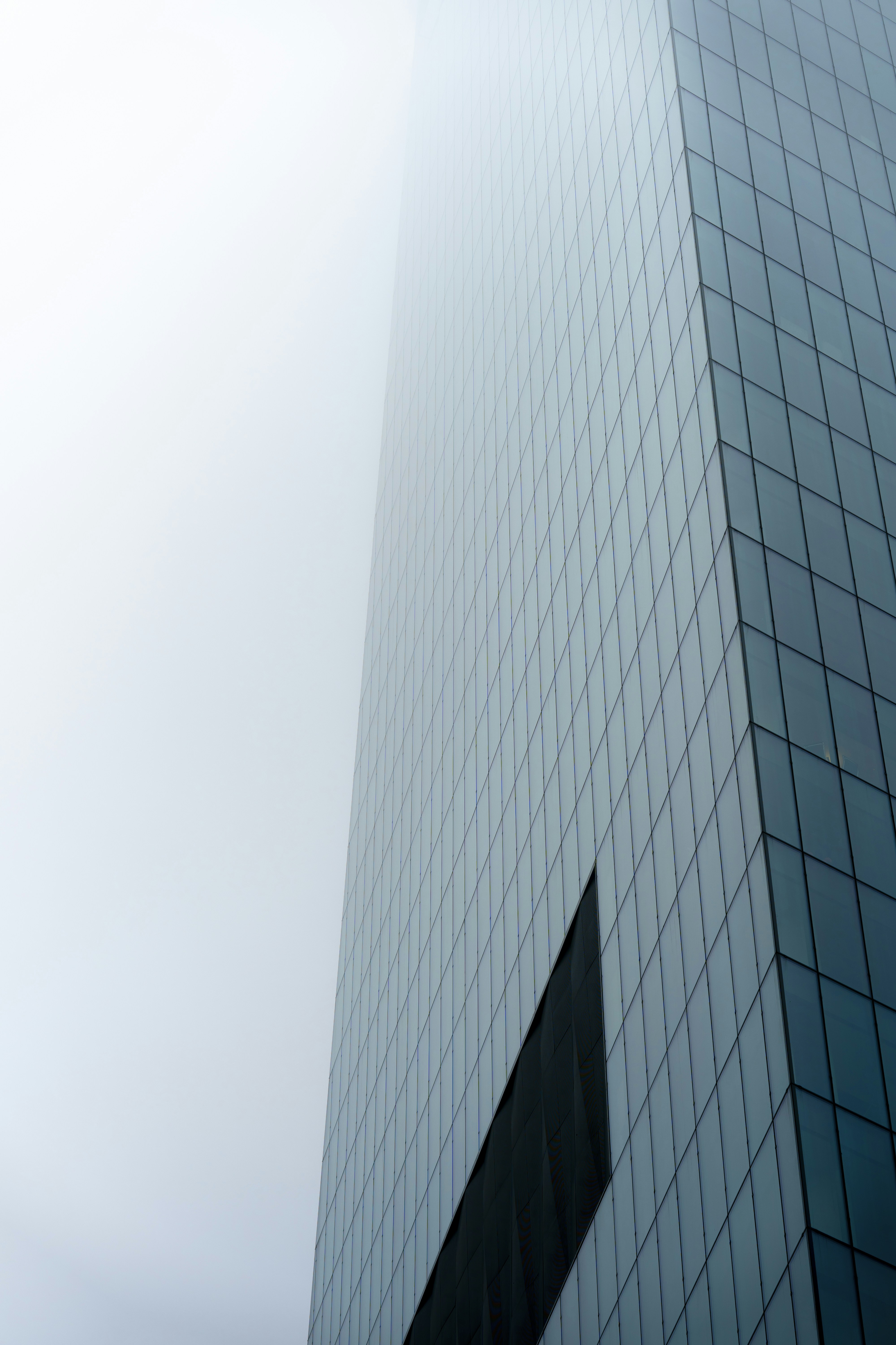 Photo by maksym_tymchyk