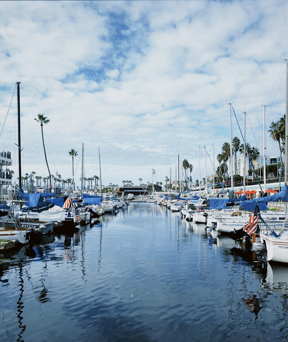 a marina filled with lots of boats under a cloudy blue sky