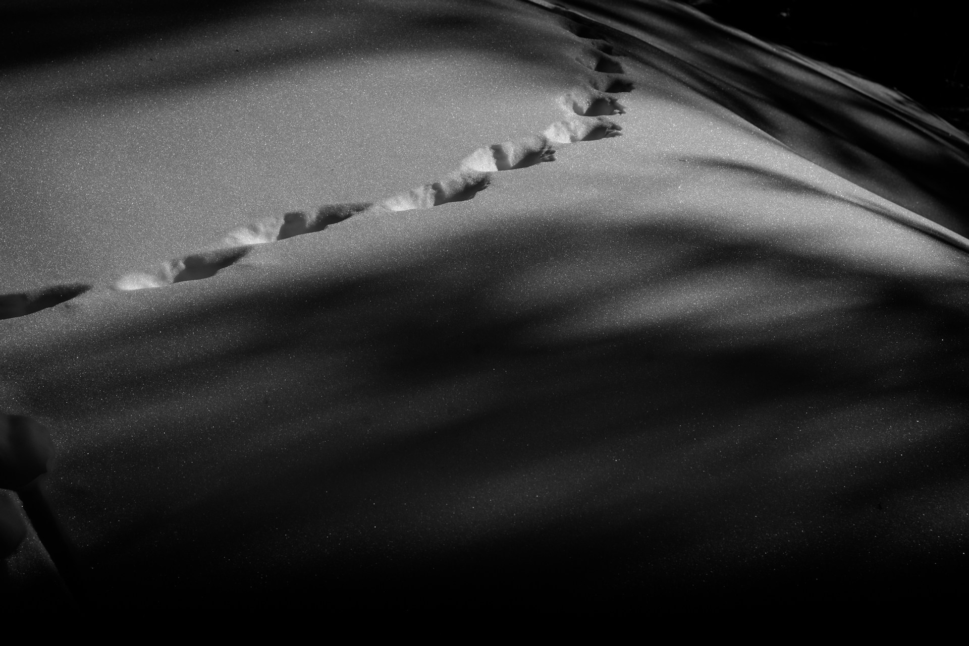 a black and white photo of a bed