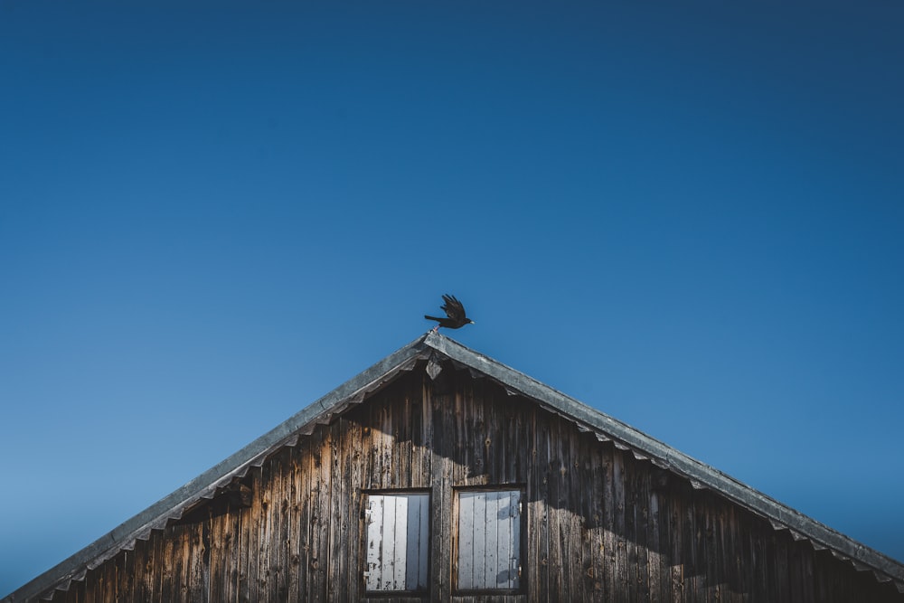 a bird sitting on top of a wooden building