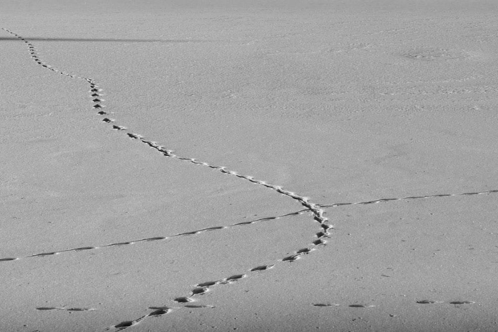 a black and white photo of tracks in the sand